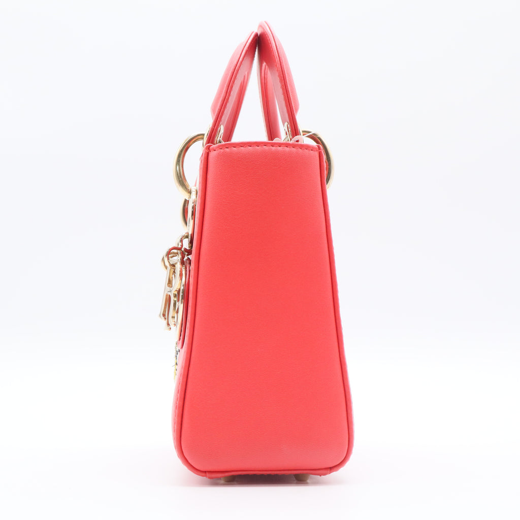 Lady Dior Bag Limited Edition Niki de Saint Phalle Embroidered Leather Medium Twins