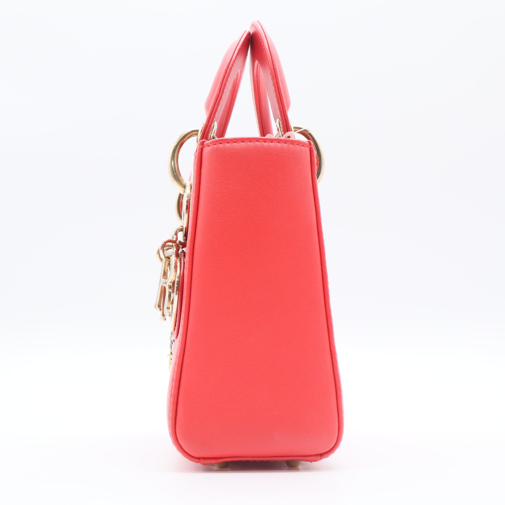 Lady Dior Bag Limited Edition Niki de Saint Phalle Embroidered Leather Medium Twins