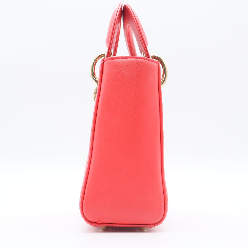 Lady Dior Bag Limited Edition Niki de Saint Phalle Embroidered Leather Medium Twins