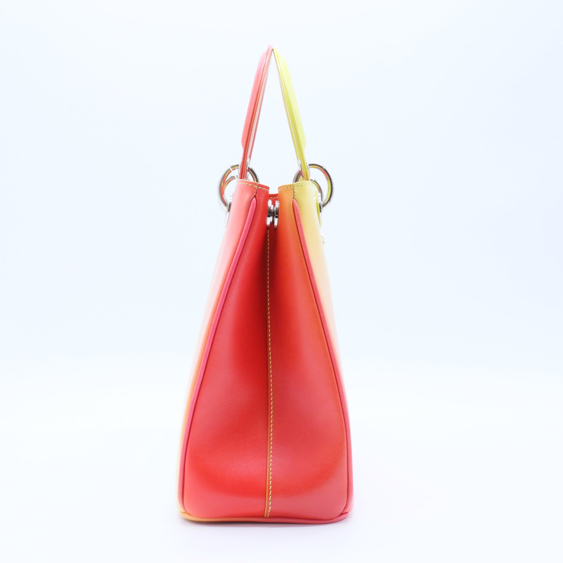 Lady Dior Bag Ombre Leather Medium twins