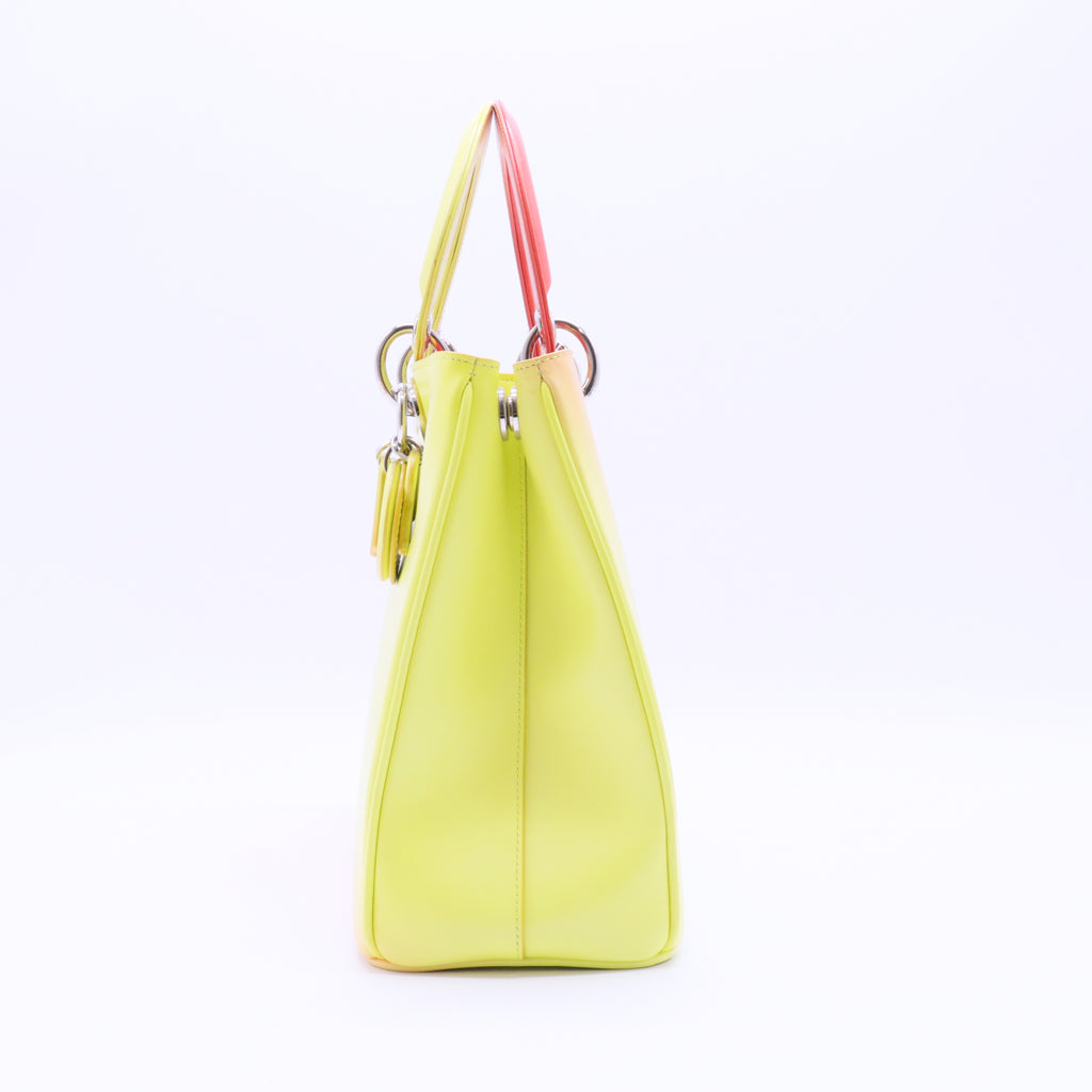Lady Dior Bag Ombre Leather Medium twins
