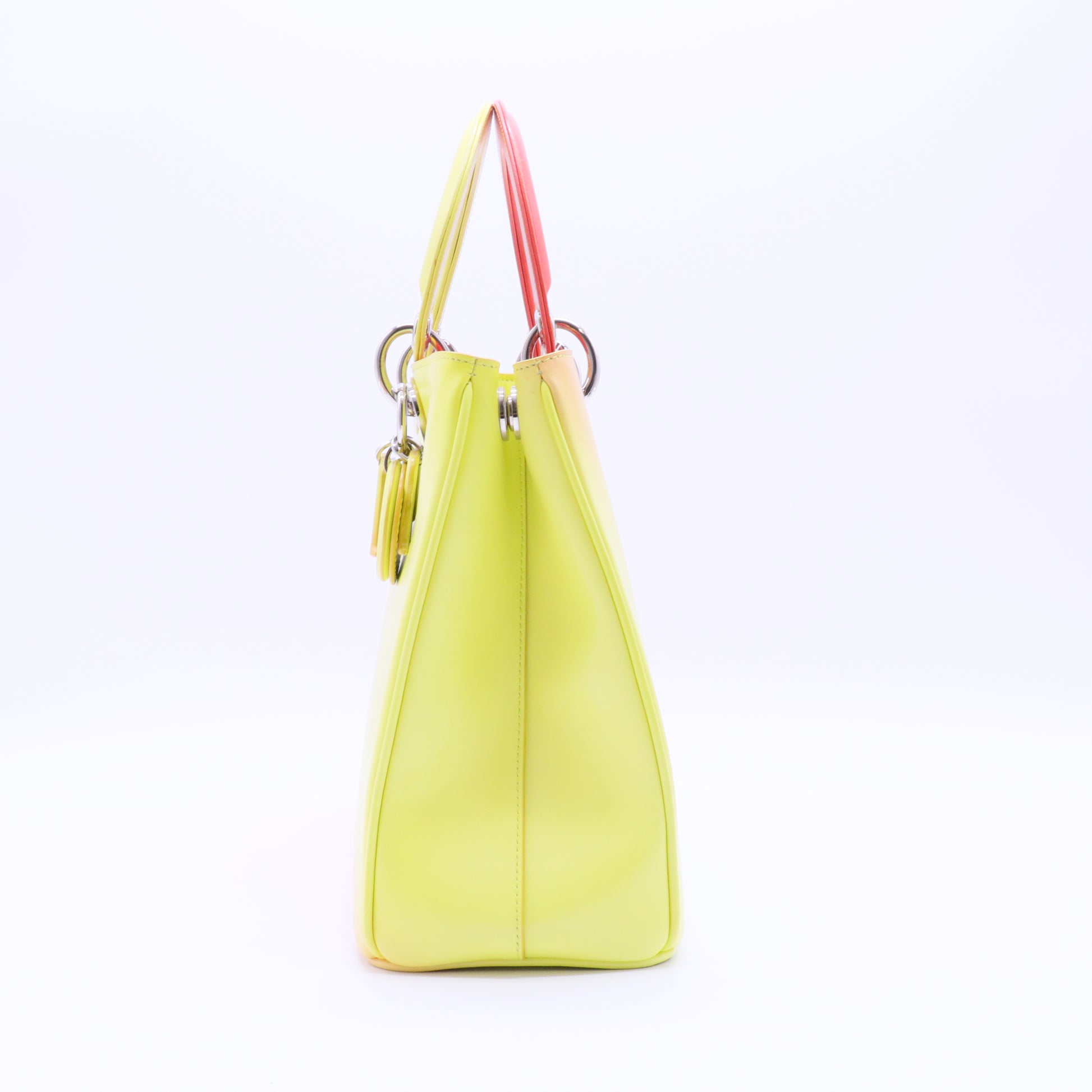 Lady Dior Bag Ombre Leather Medium twins