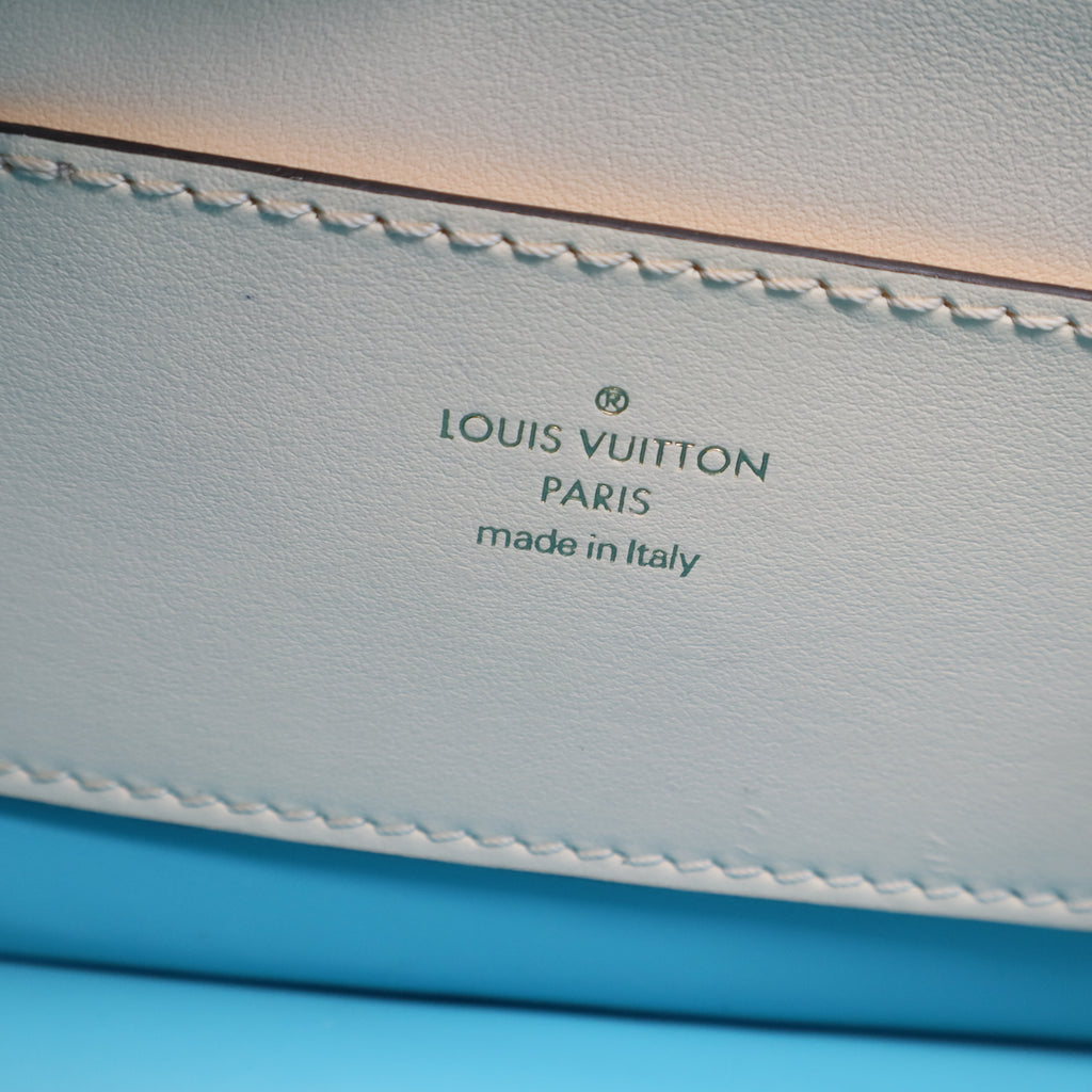 Louis Vuitton LV Pont 9 Bag Leather Calfskin Twins