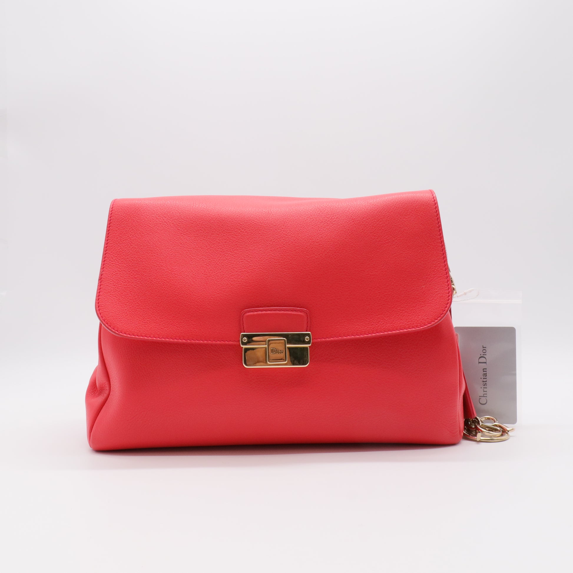 Dior Red Leather Large Diorling Shoulder Bag twins