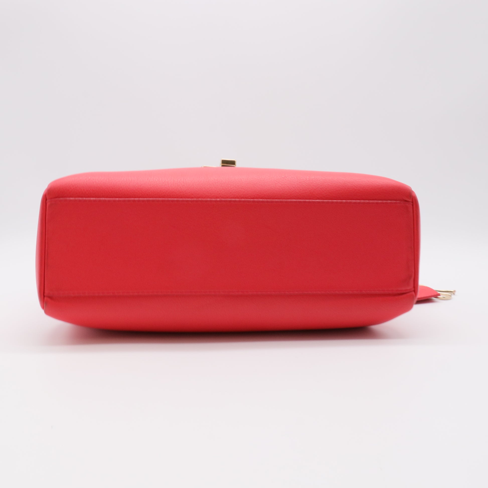 Dior Red Leather Large Diorling Shoulder Bag twins
