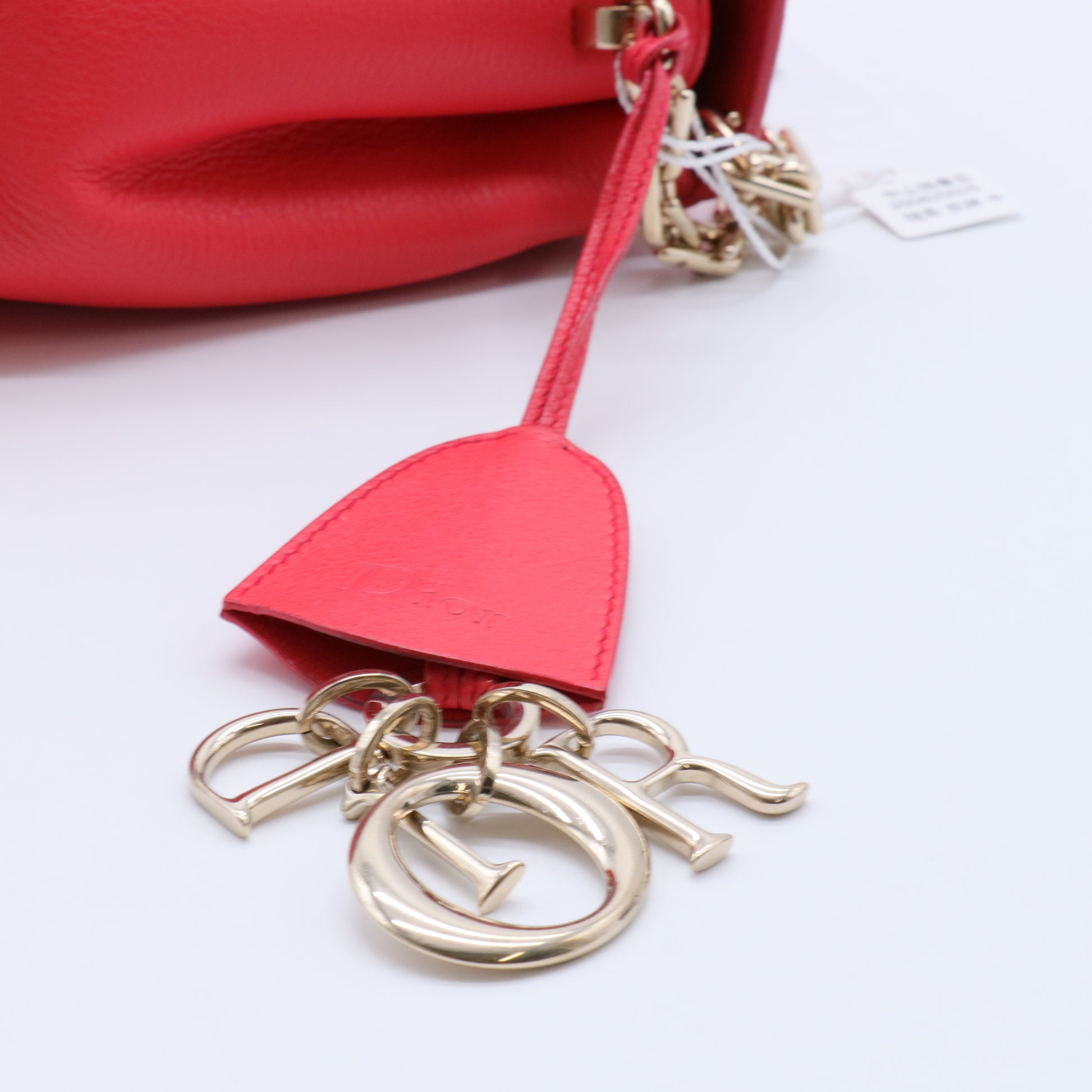Dior Red Leather Large Diorling Shoulder Bag twins