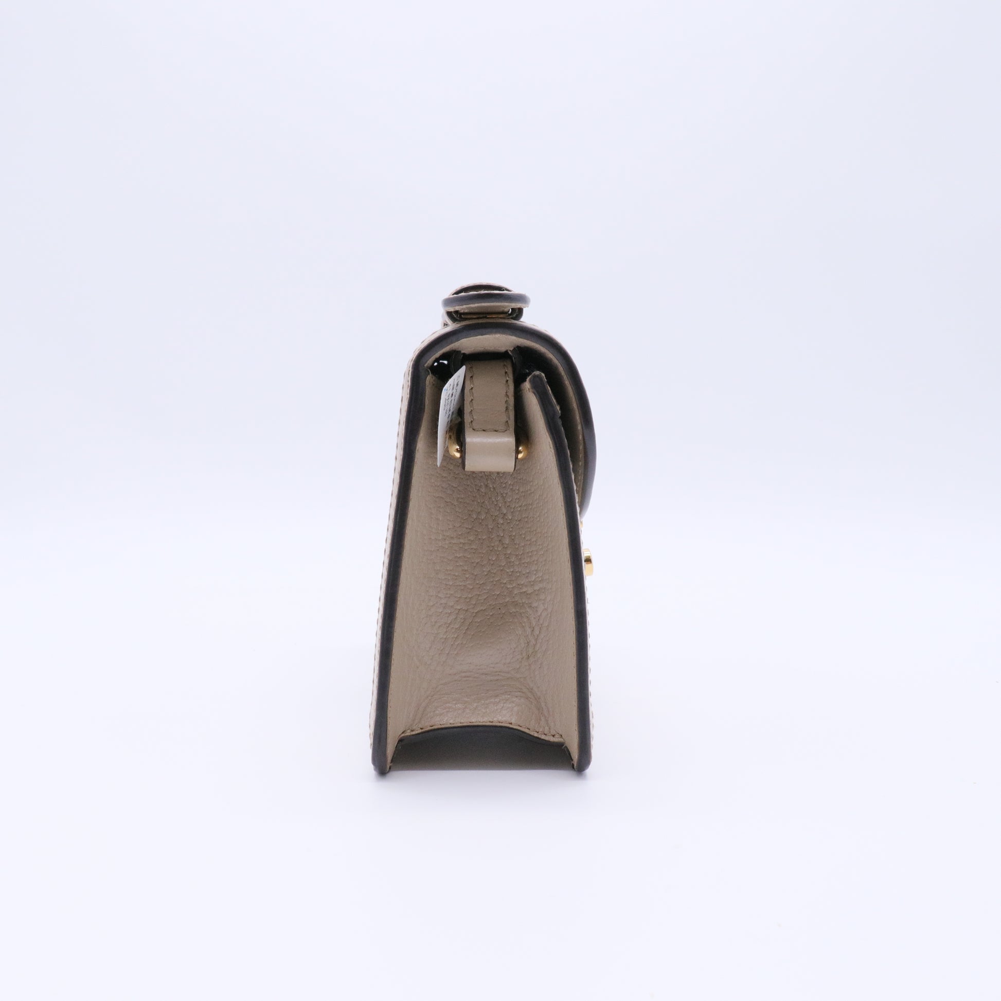 GG Supreme Monogram Textured Dollar Calfskin Web Mini Ophidia Padlock twins