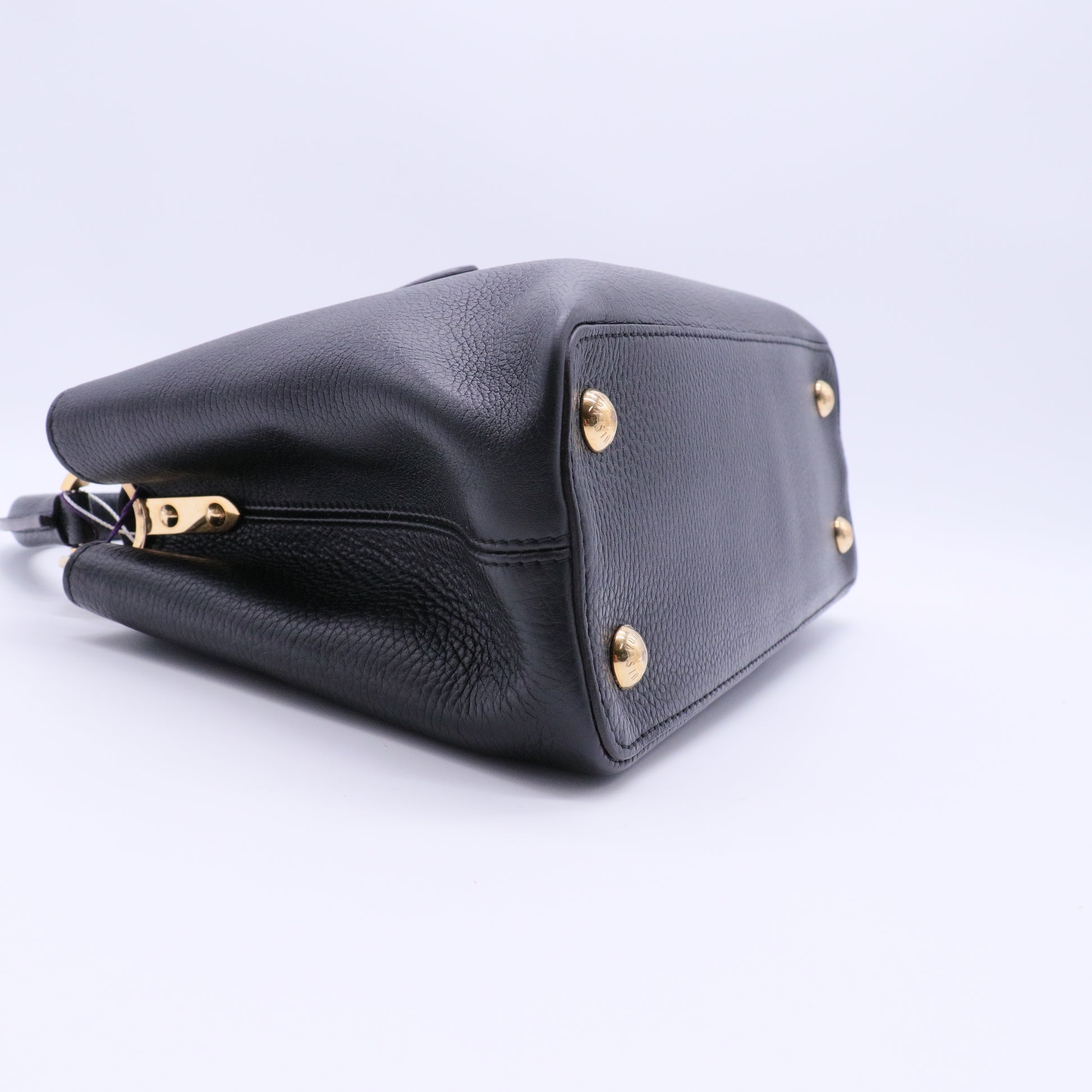 Capucines Bag Leather PM twins
