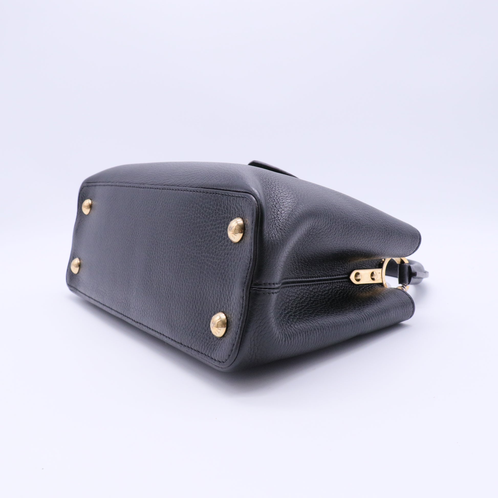 Capucines Bag Leather PM twins