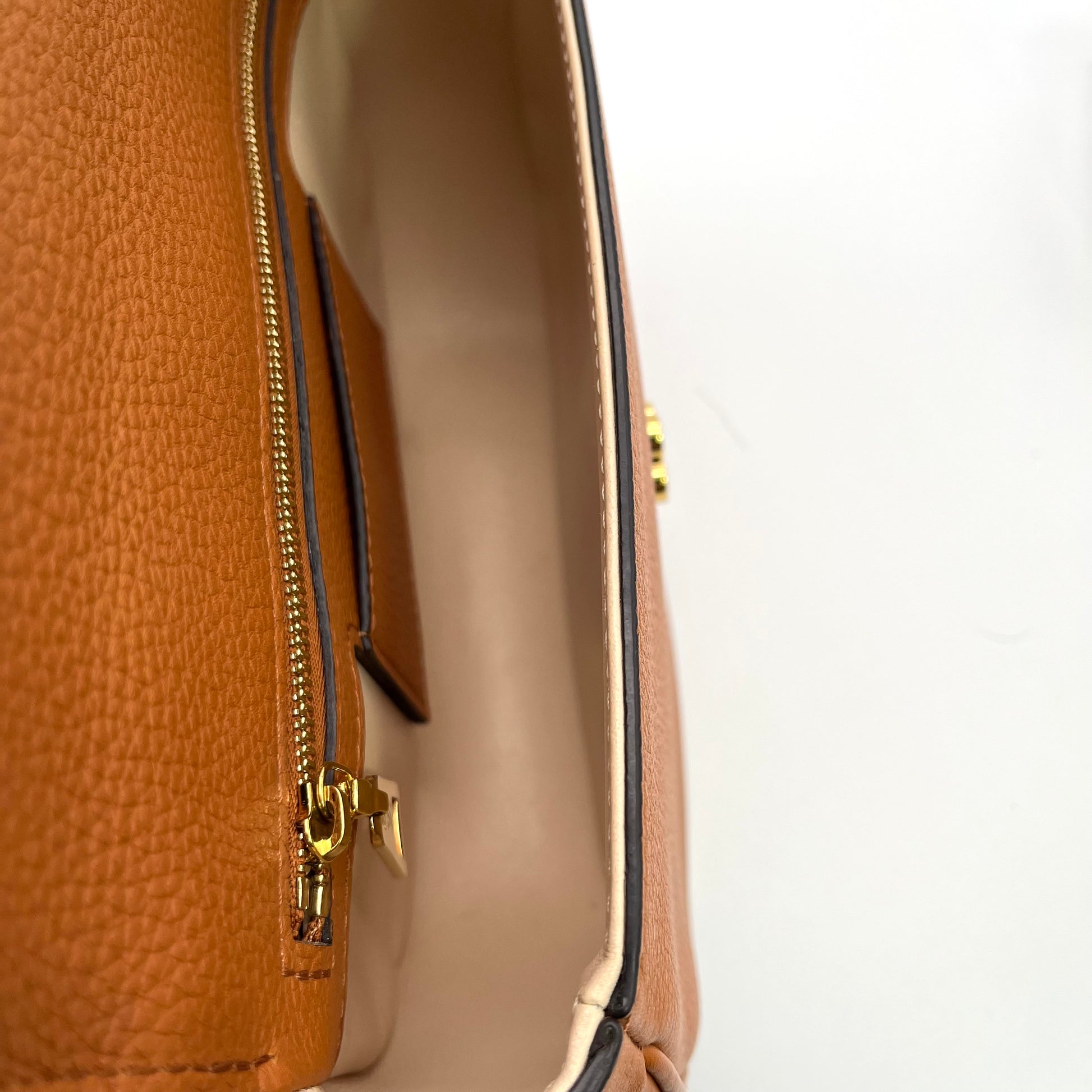 Grained Calfskin LV Pont 9 Soft MM Golden Siena twins