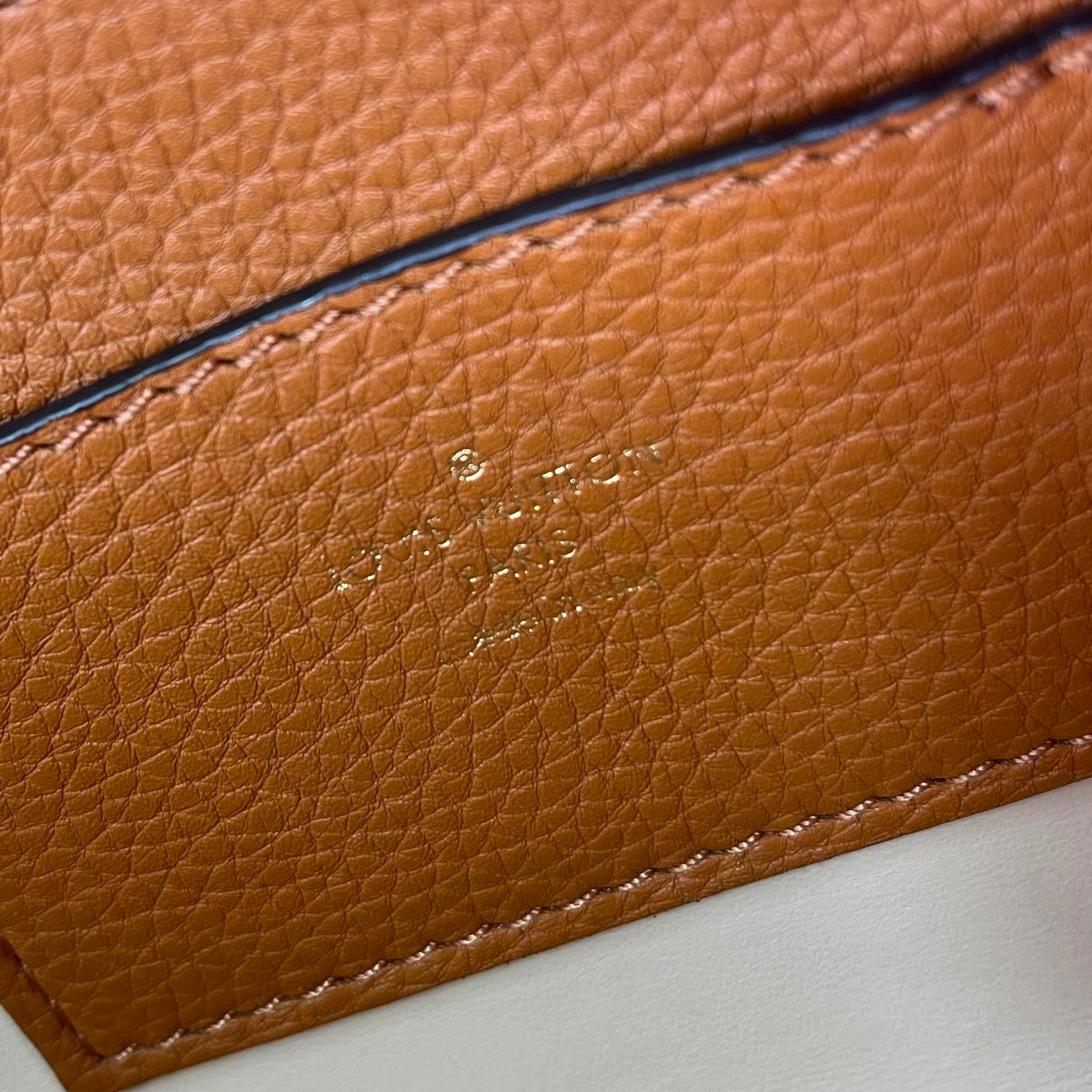 Grained Calfskin LV Pont 9 Soft MM Golden Siena twins