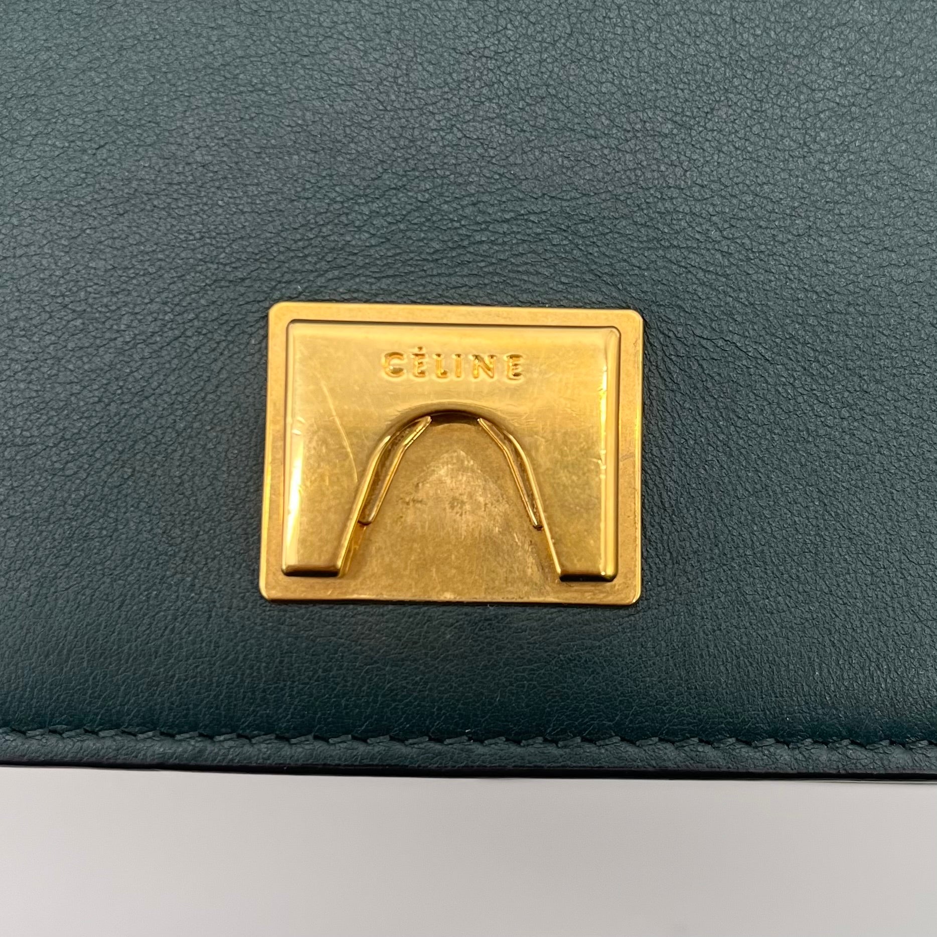 Frame Medium Bag in Green and Black Leather twins