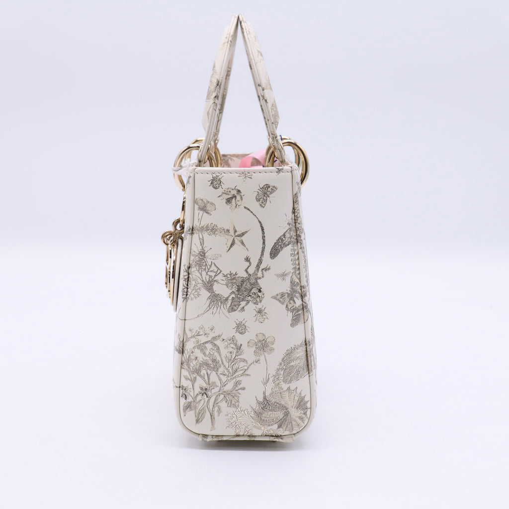 Latte Small Cabinet De Curiosites Lady Dior Bag Twins LDJ3260