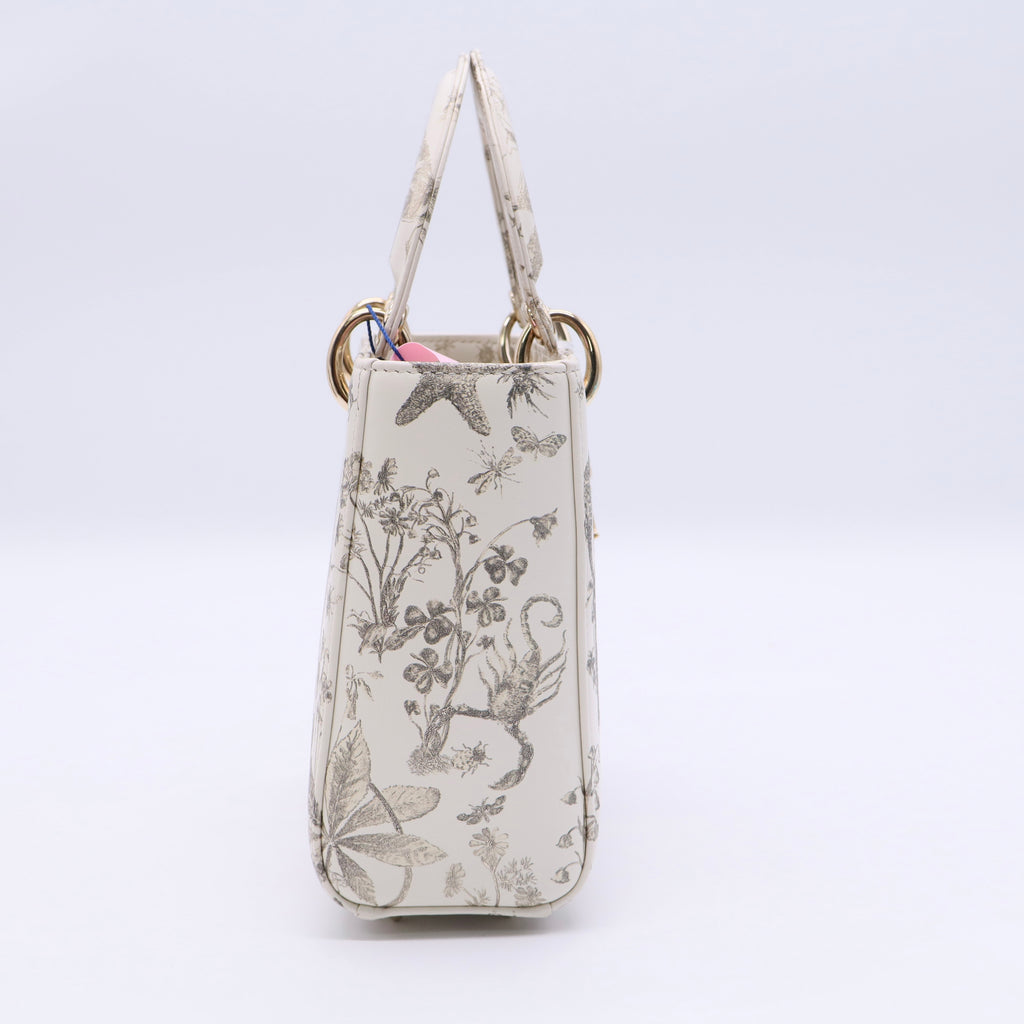 Latte Small Cabinet De Curiosites Lady Dior Bag Twins LDJ3260