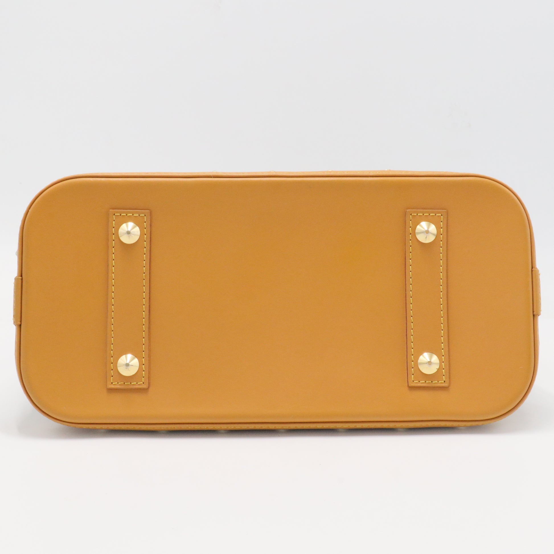 Alma Canvas Cowhide Multicolor GHW