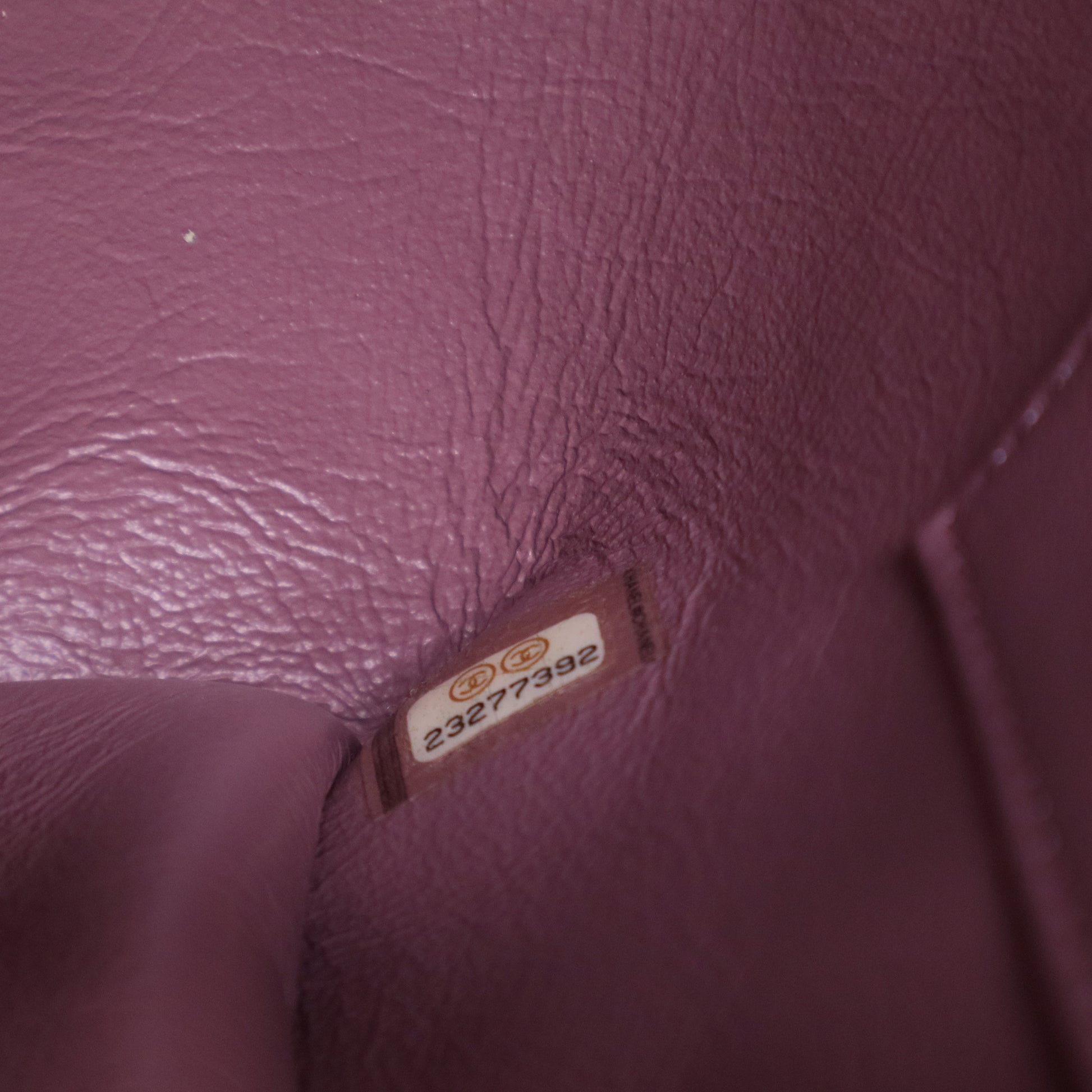 Lizard-Trimmed Medium Coco Handle Bag B20015