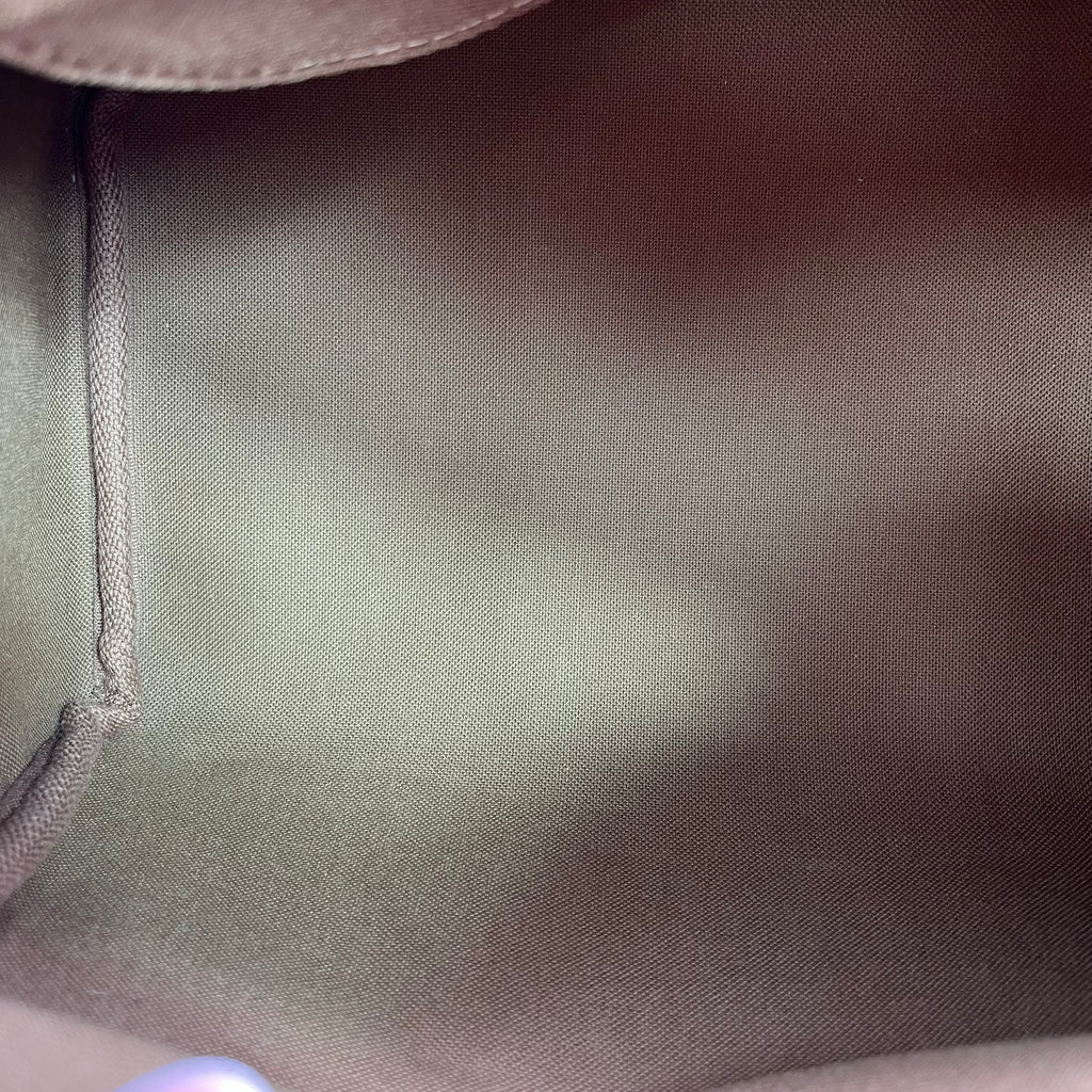 Borsa Monogram Speedy 25 Marrone Monogramma twins