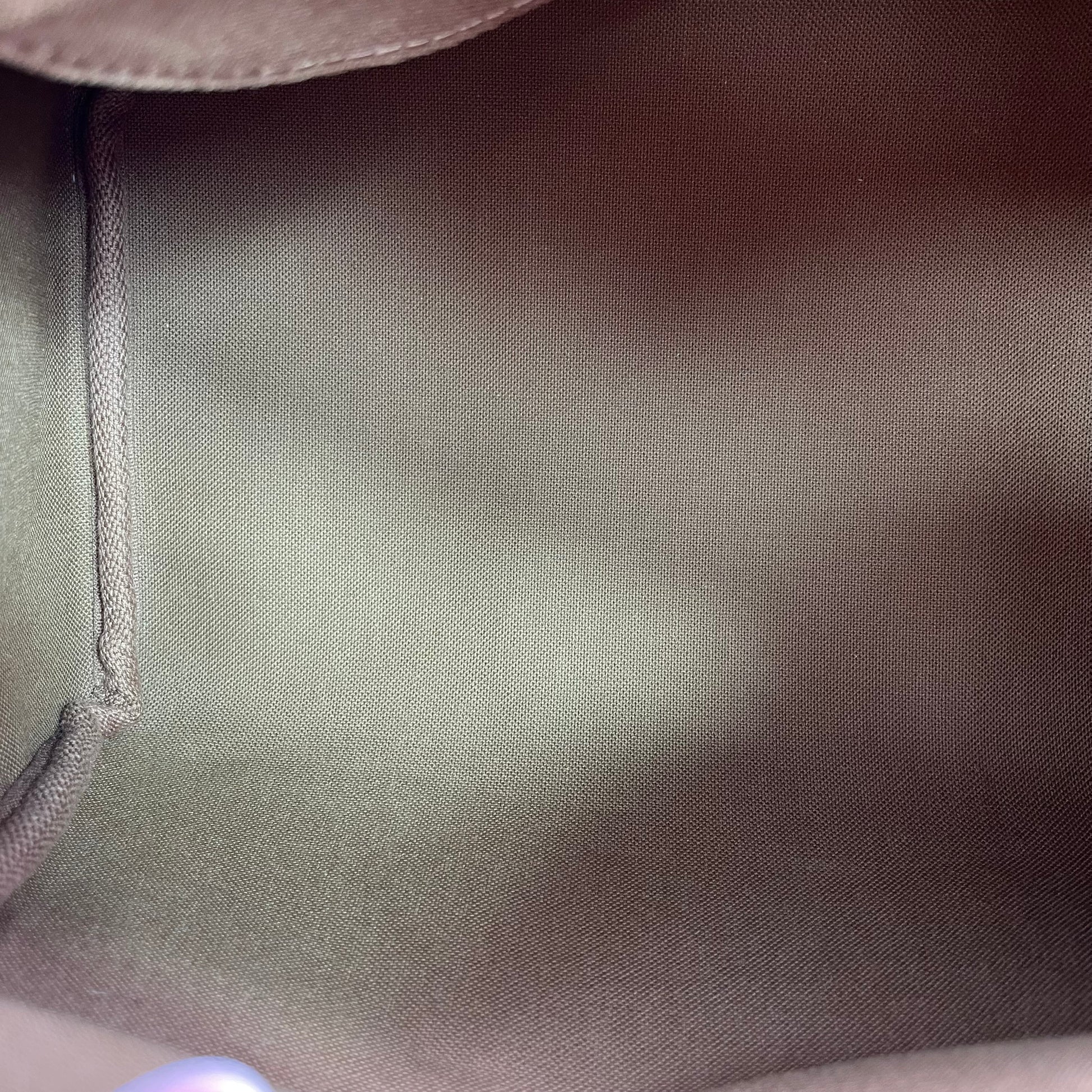 Borsa Monogram Speedy 25 Marrone Monogramma twins