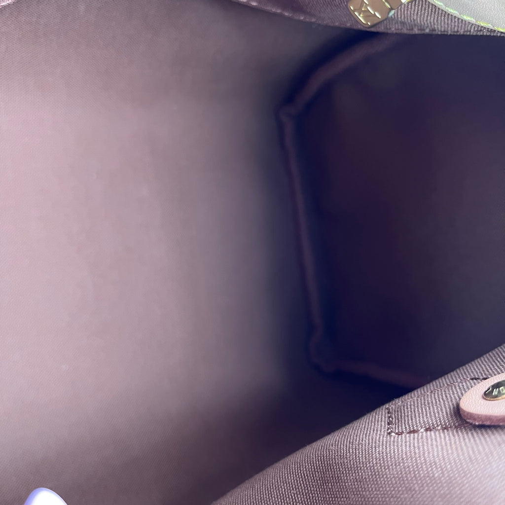 Borsa Monogram Speedy 25 Marrone Monogramma twins