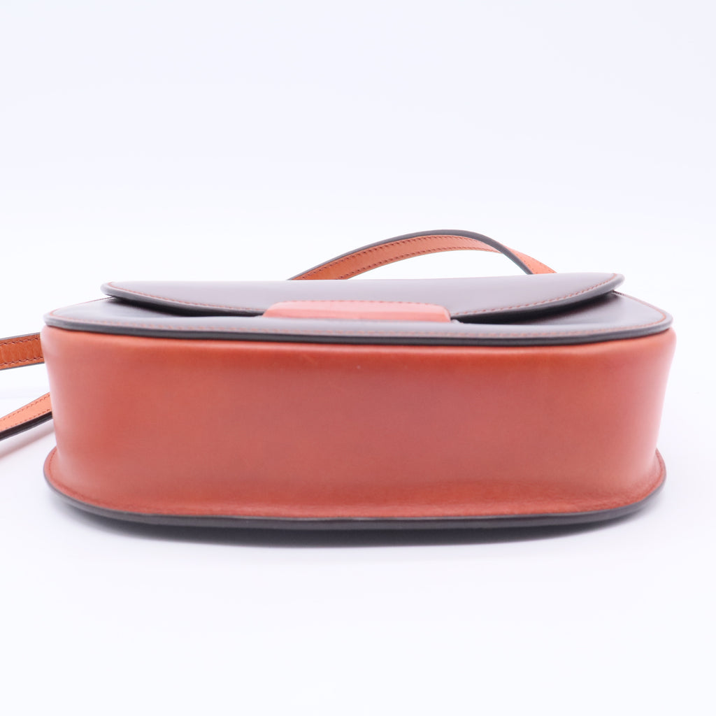 Small Bicolor Trotteur Bag Twins