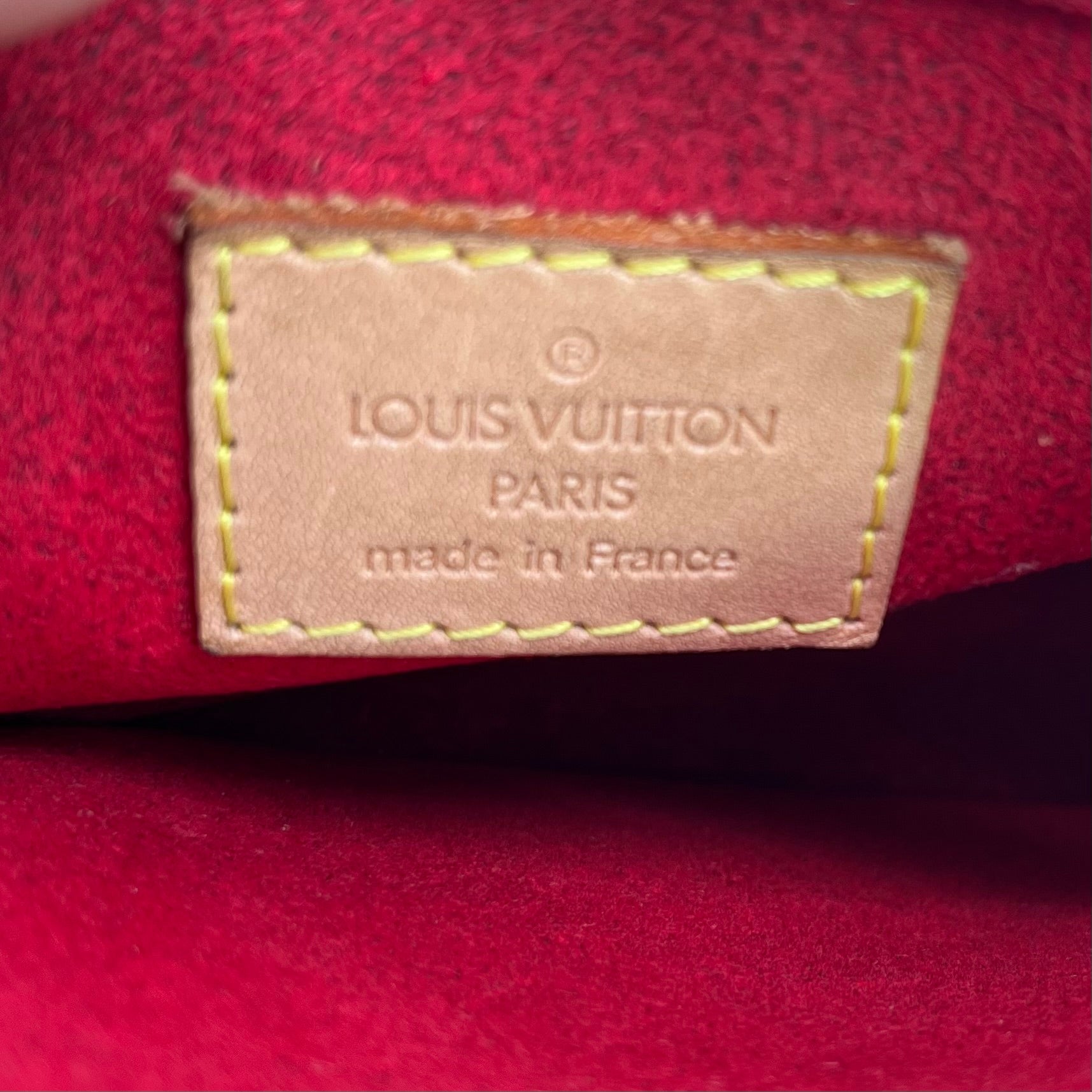 Viva Cite Handbag Monogram Canvas twins