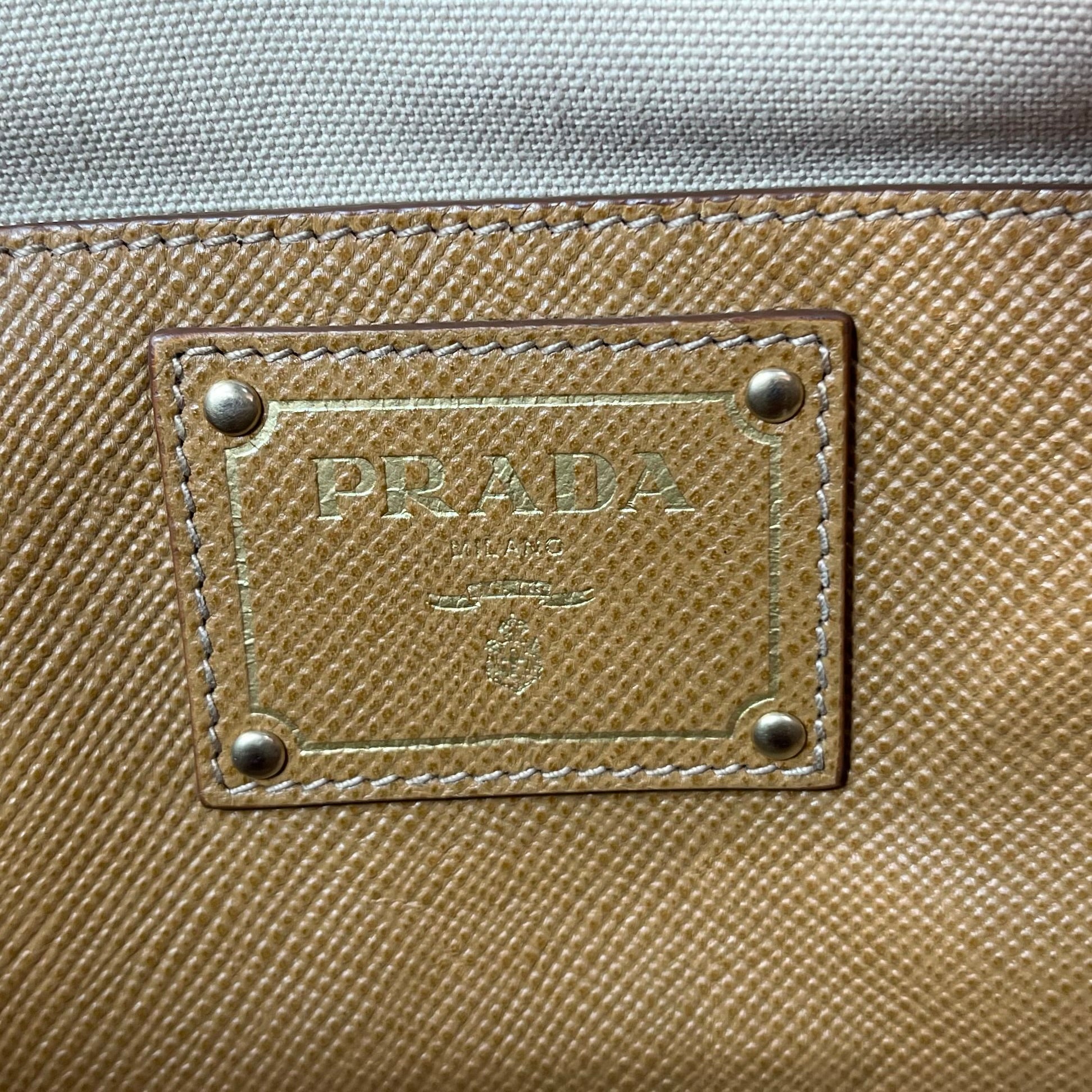 Cuir Frame Convertible Tote Canvas and Saffiano Leather Small twins