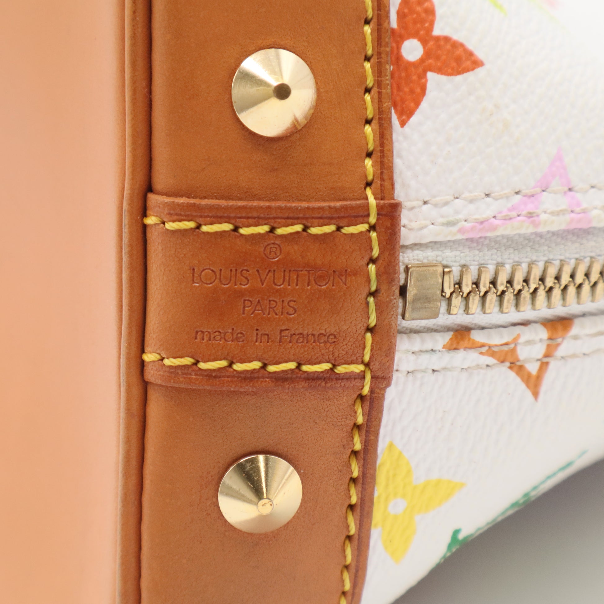 Multicolore Monogram Alma PM