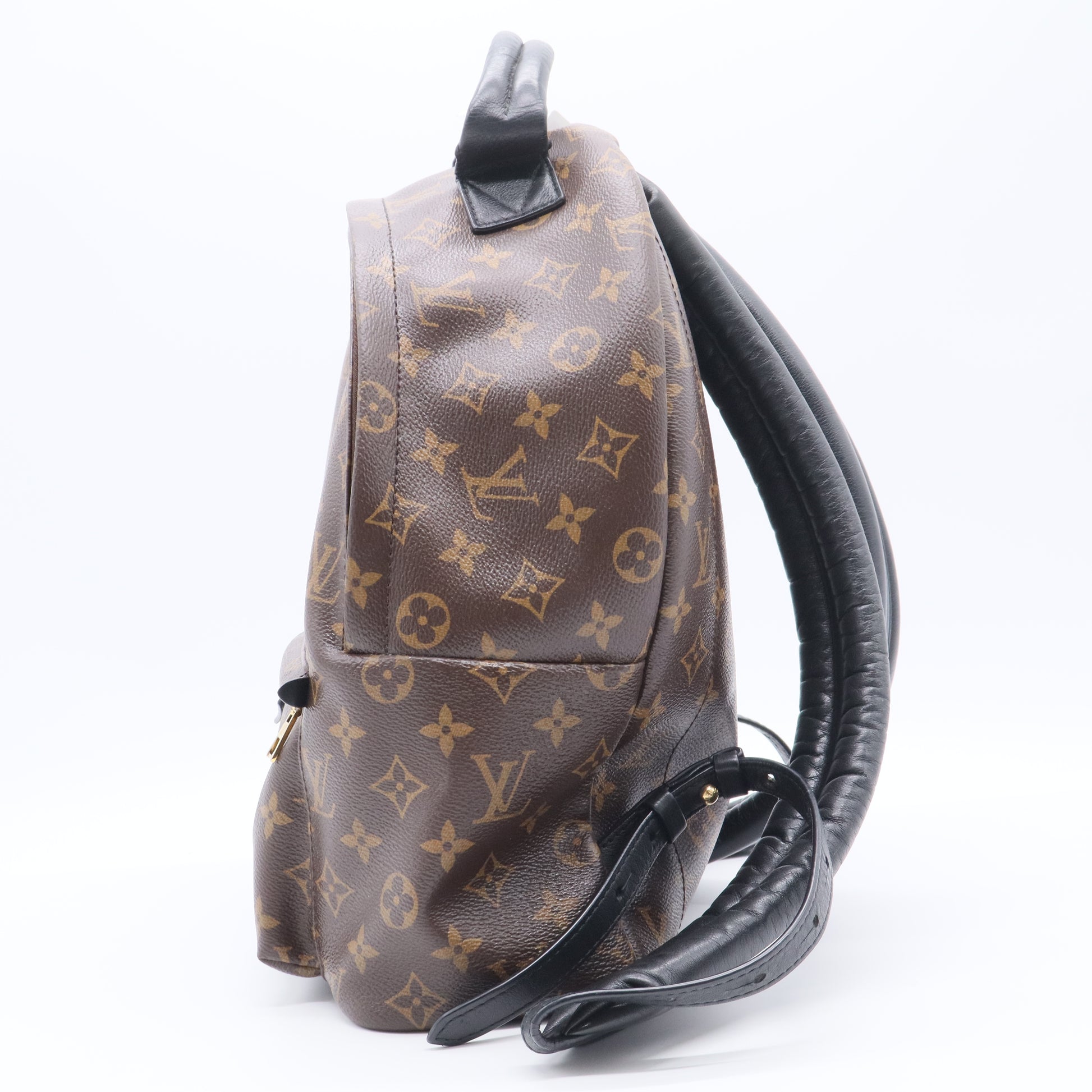 Monogram Canvas Palm Springs Backpack MM Bag twins