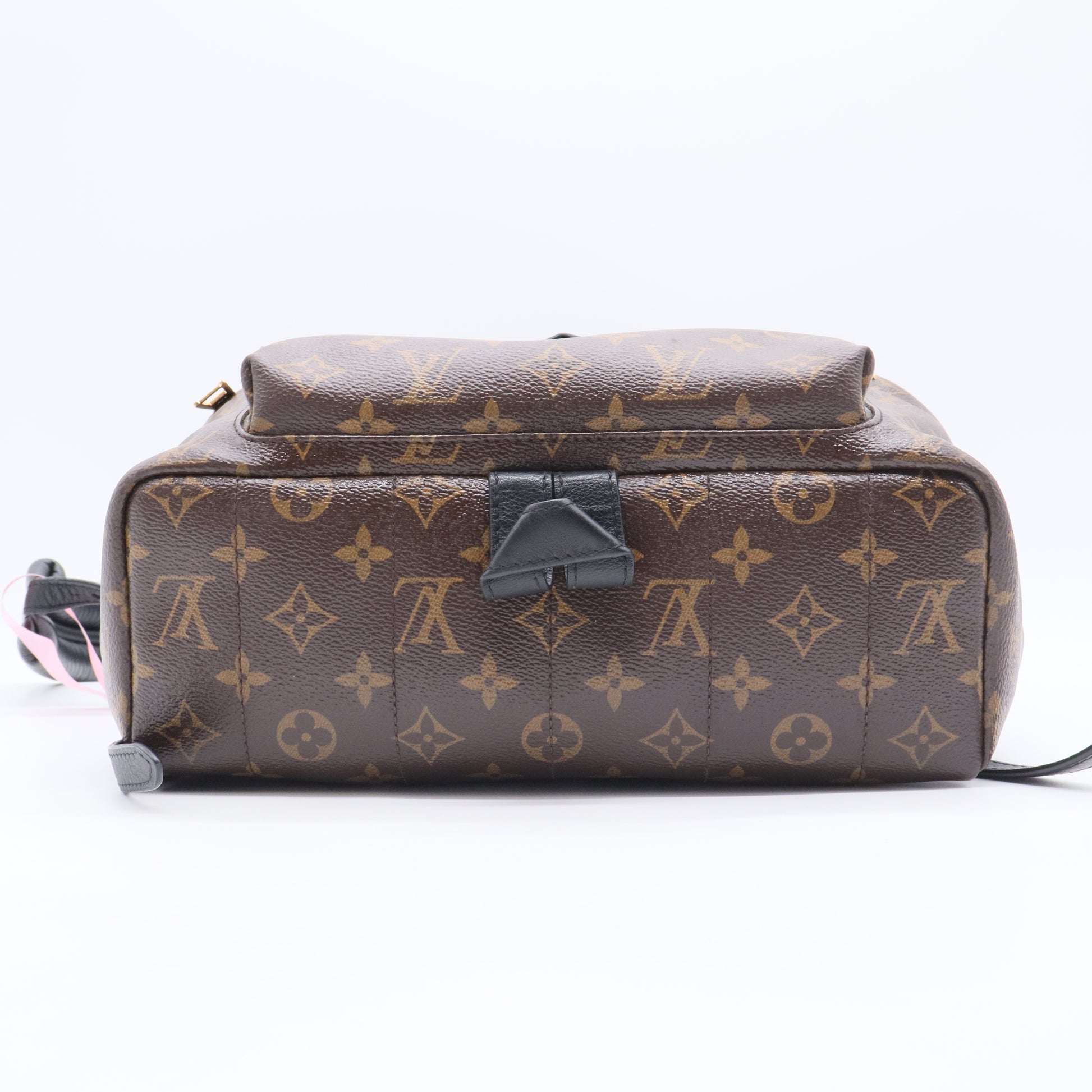 Monogram Canvas Palm Springs Backpack MM Bag twins