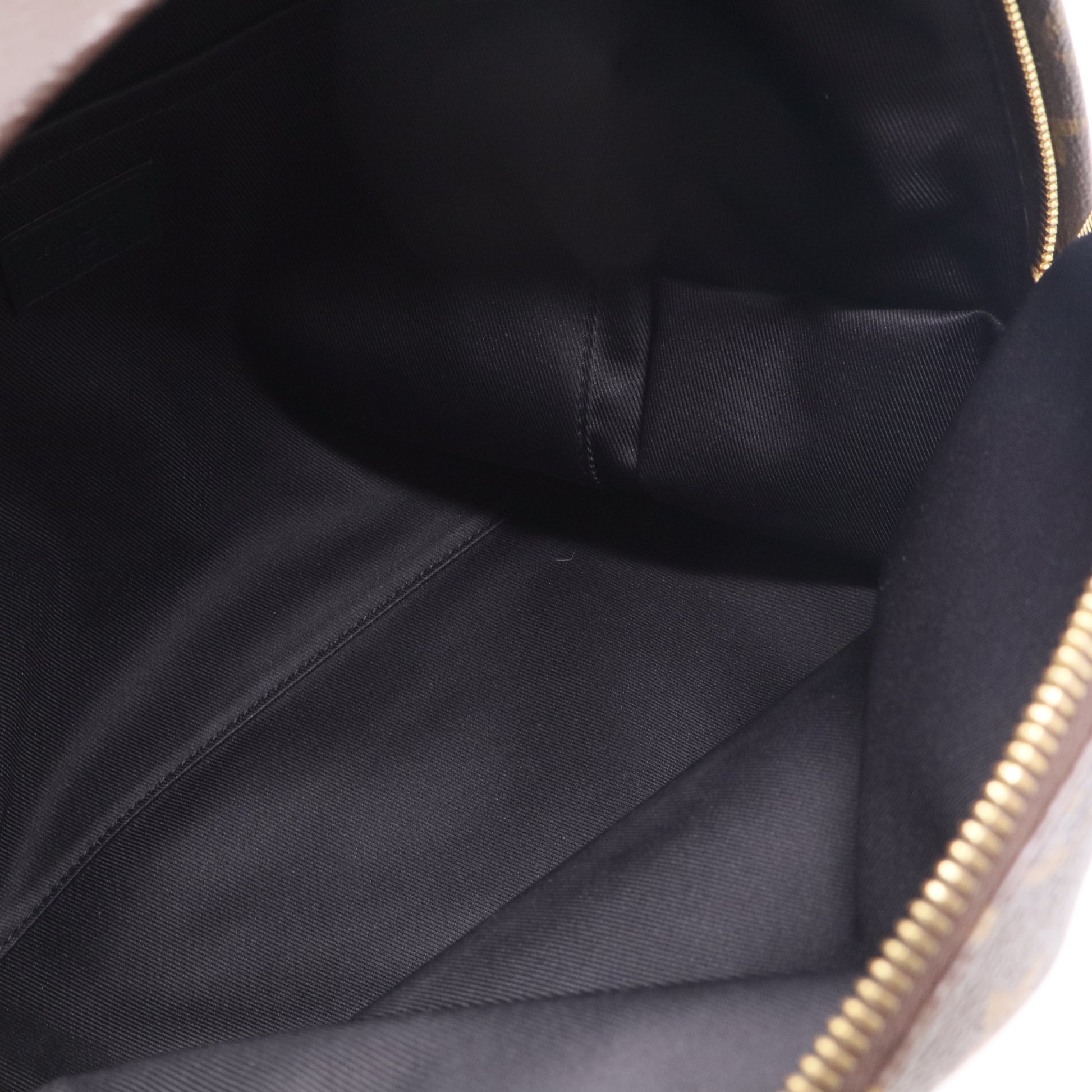 Monogram Canvas Palm Springs Backpack MM Bag twins