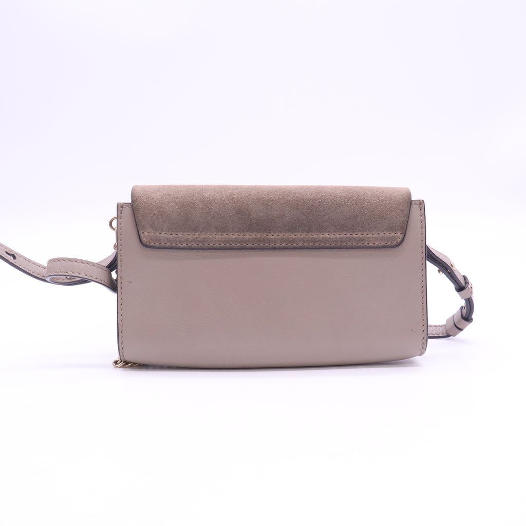 Suede Calfskin Small Faye Shoulder Bag Motty Grey B24481