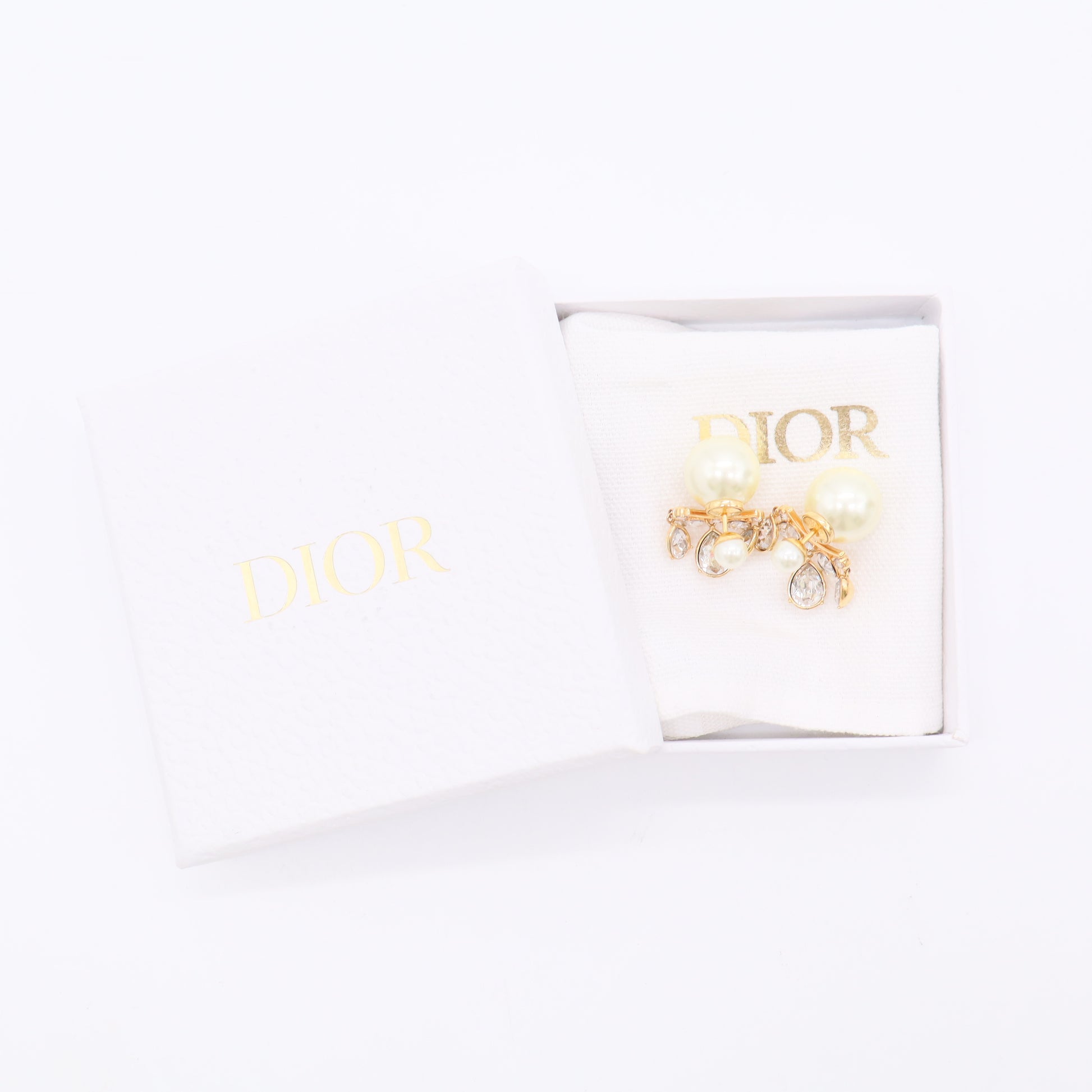 Dior Tribales Earrings Twins LDJ3283