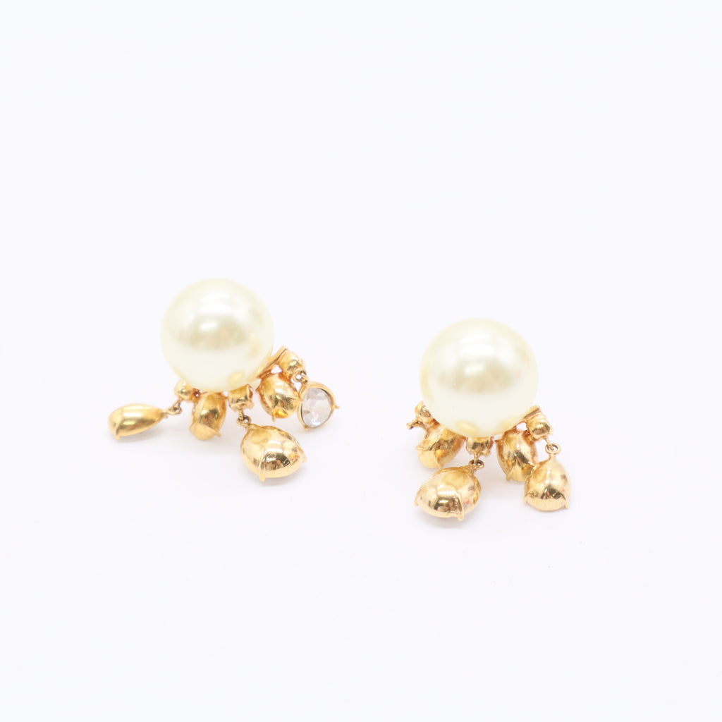 Dior Tribales Earrings Twins LDJ3283