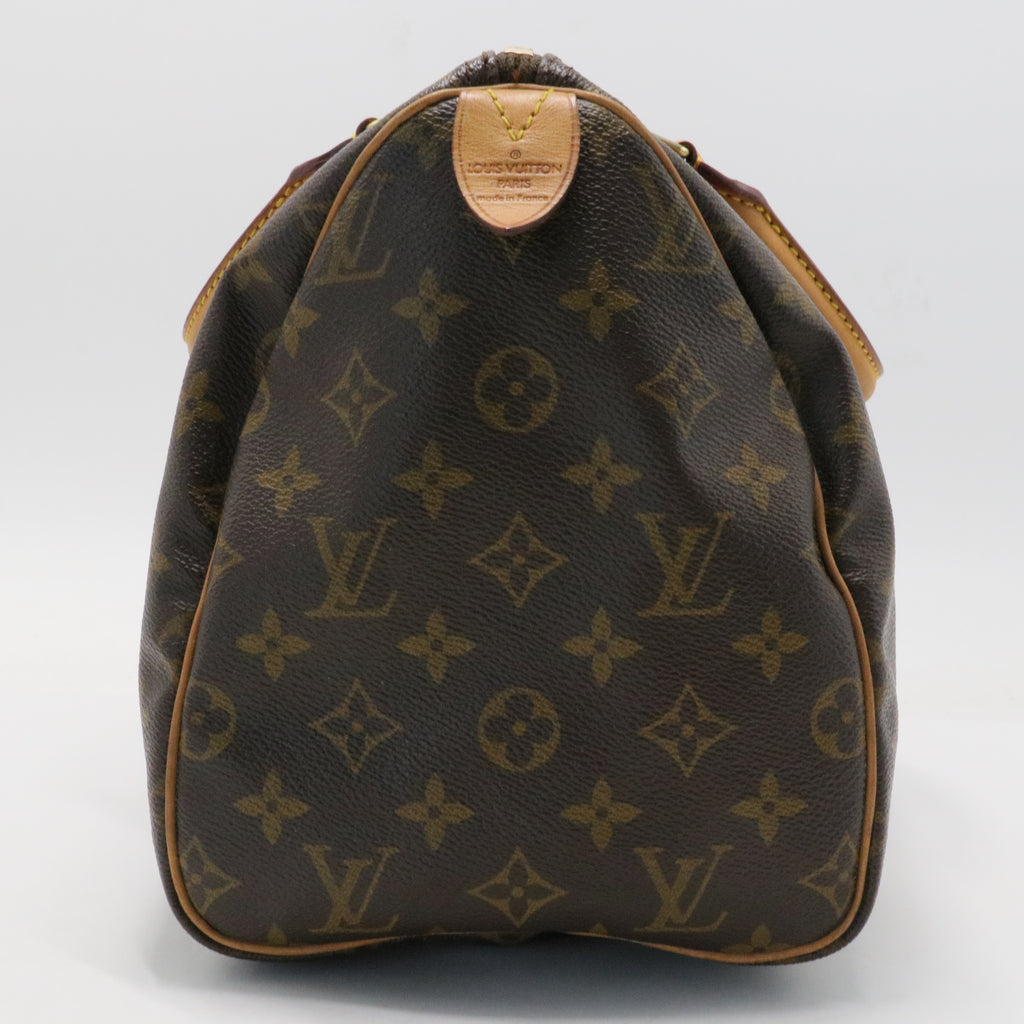 Speedy Handbag Monogram Canvas 30