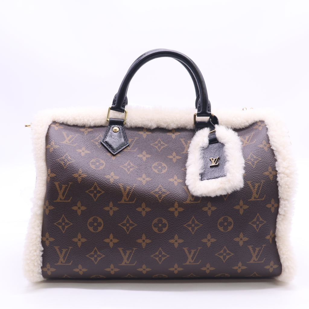 Louis Vuitton LV Ski Speedy Soft 35 Teddy Monogram Canvas twins LDJ6484