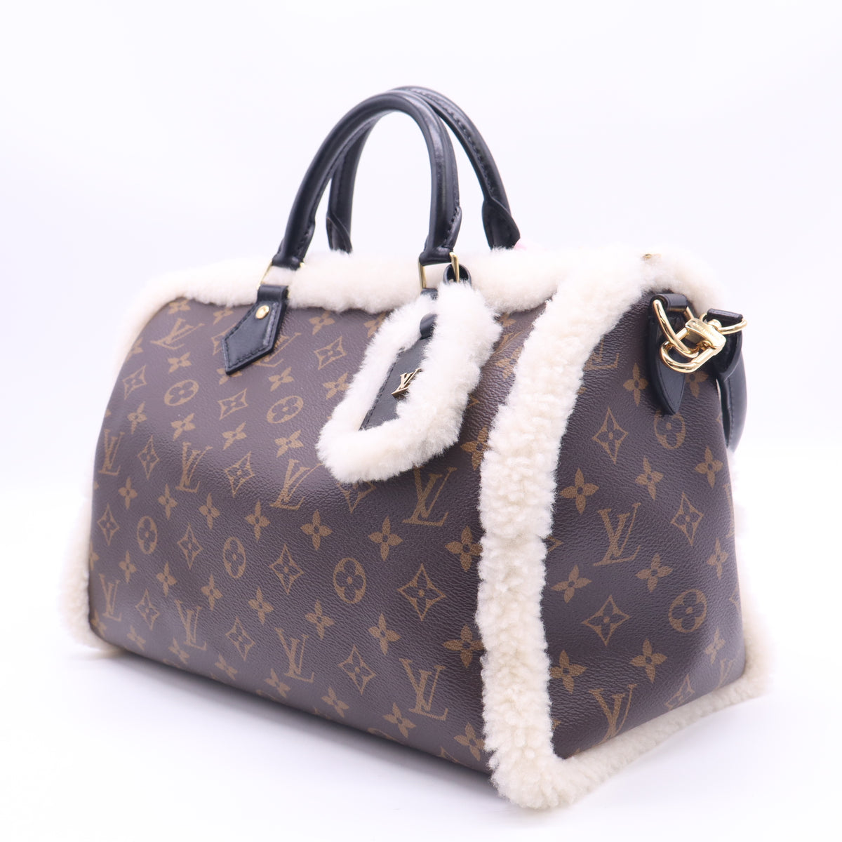 Louis Vuitton LV Ski Speedy Soft 35 Teddy Monogram Canvas twins LDJ6484