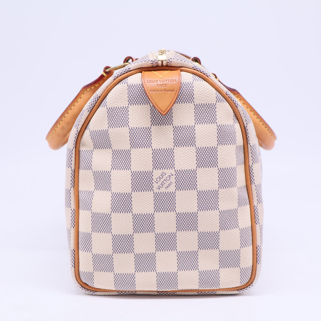 Speedy Handbag Damier 25 B20662