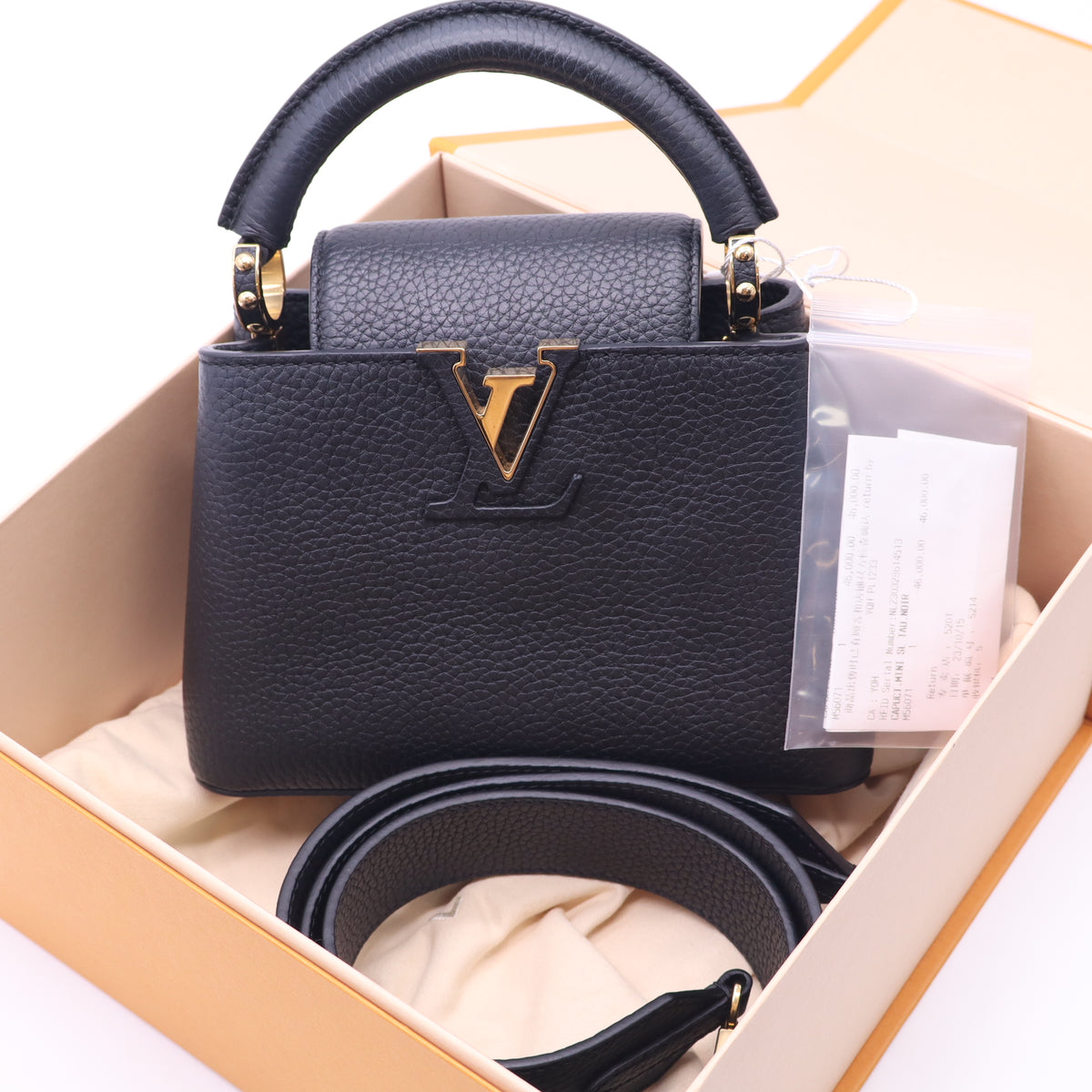 Louis Vuitton Capucines Mini Bag twins LDZ1410