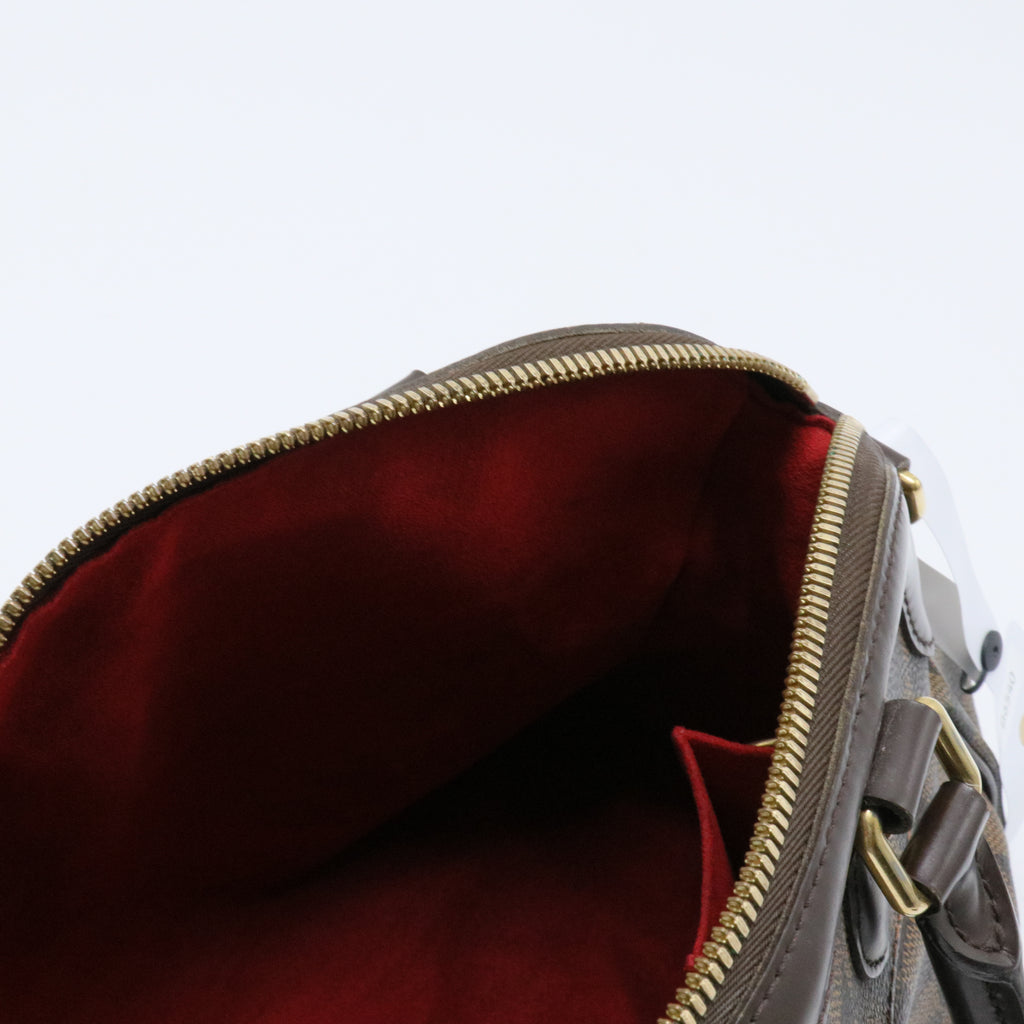 Trevi Handbag Damier PM