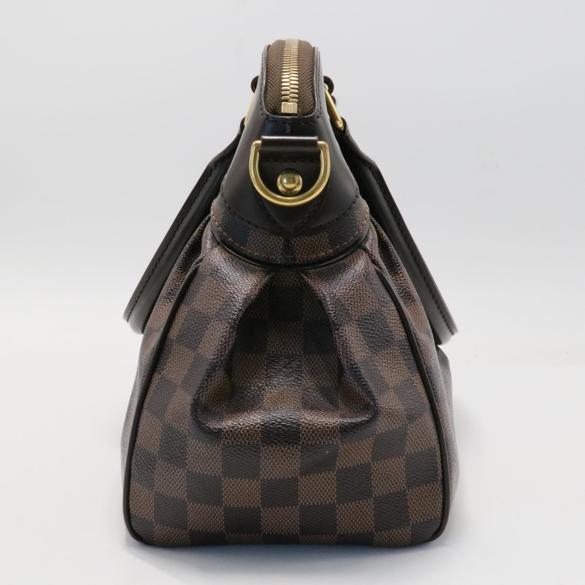 Trevi Handbag Damier PM