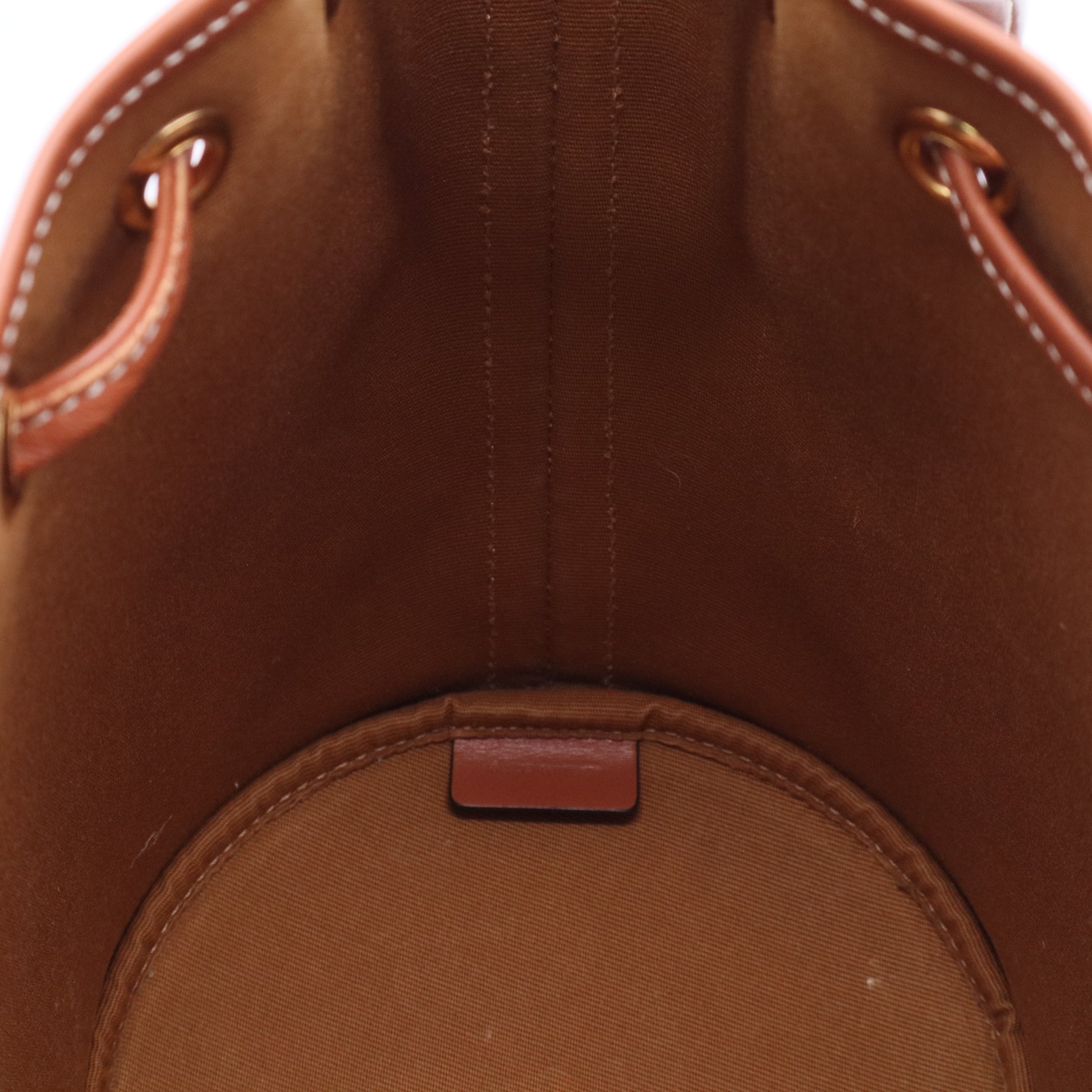 Drawstring Bucket Bag Triomphe Coated Canvas Small Twins