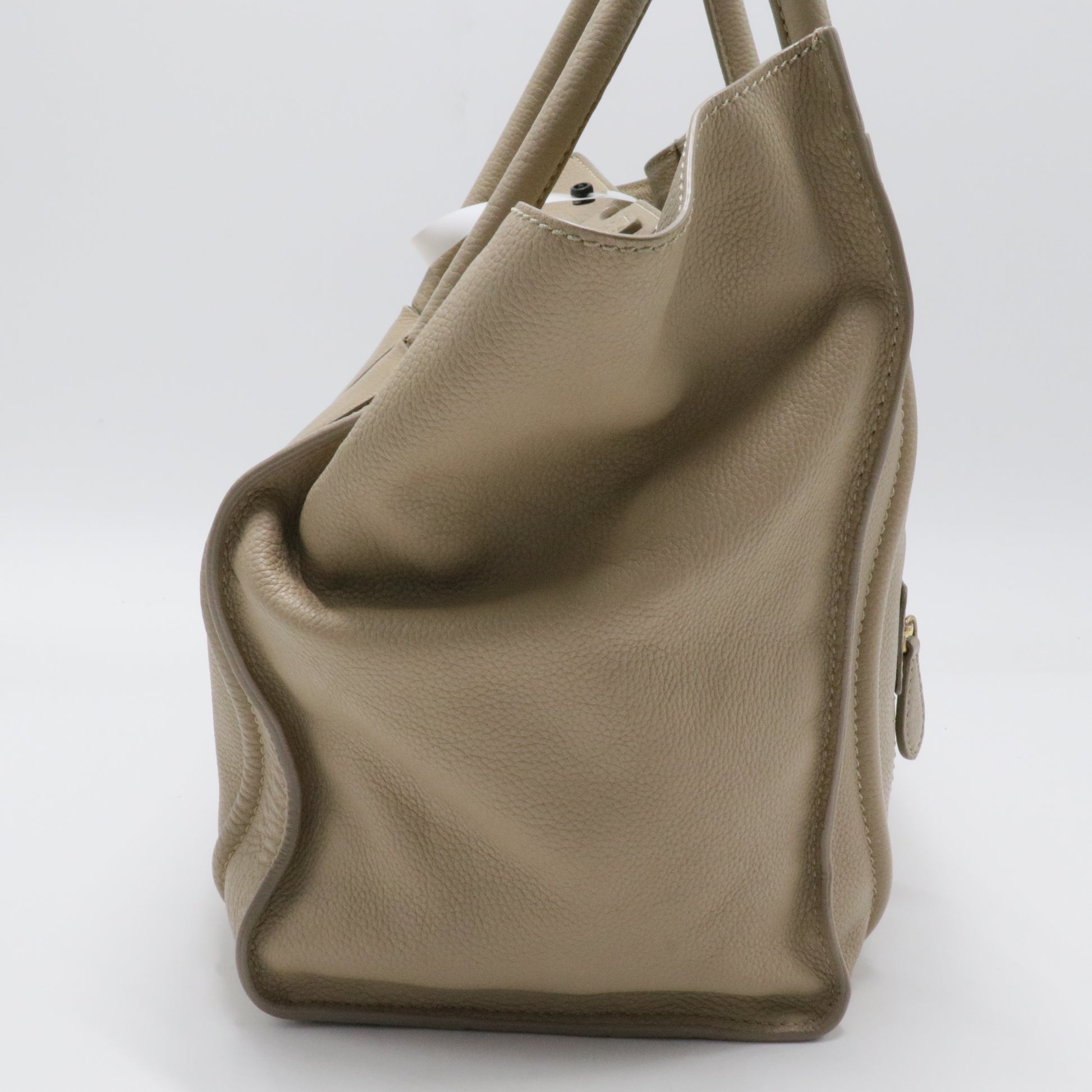 Luggage Bag Grainy Leather Mini