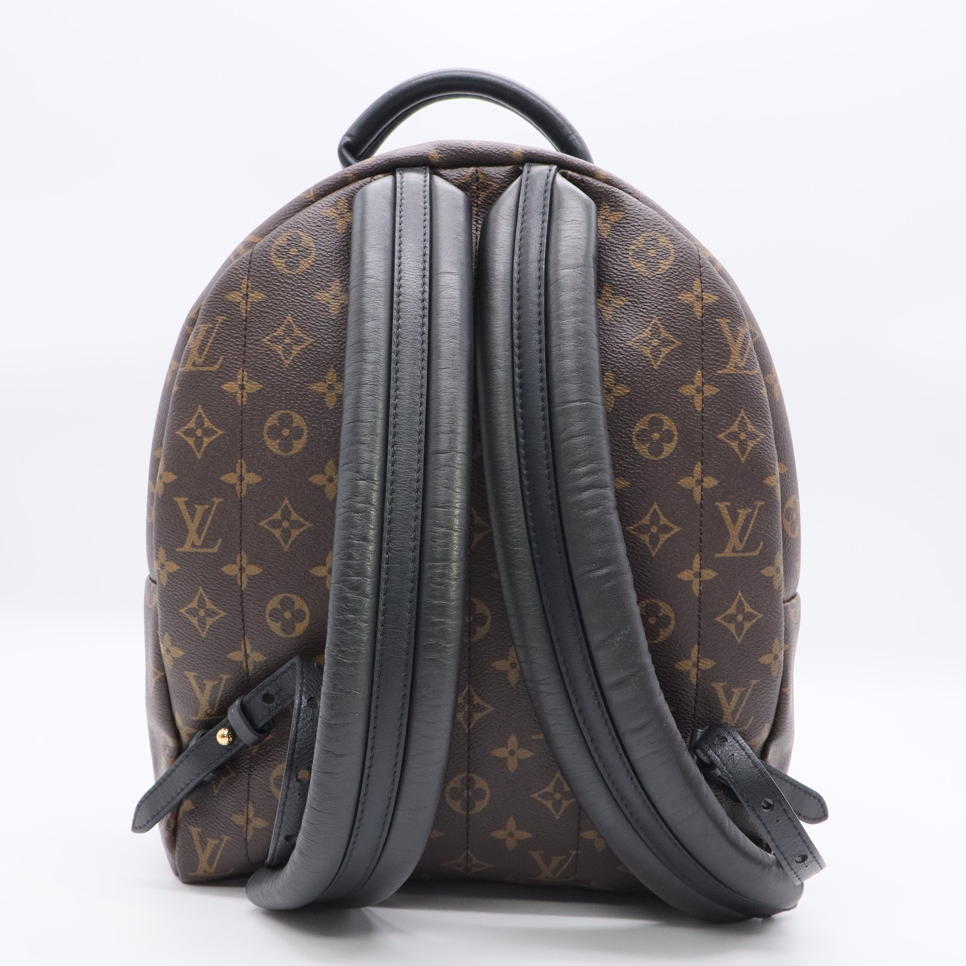 Palm Springs Backpack Monogram Canvas MM twins LDJ3311