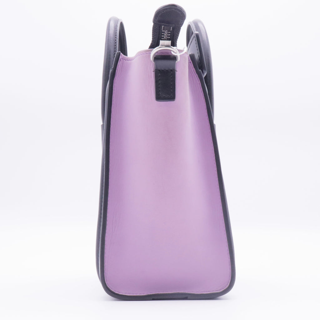 Smooth Drummed Calfskin Tri-color Nano Luggage twins