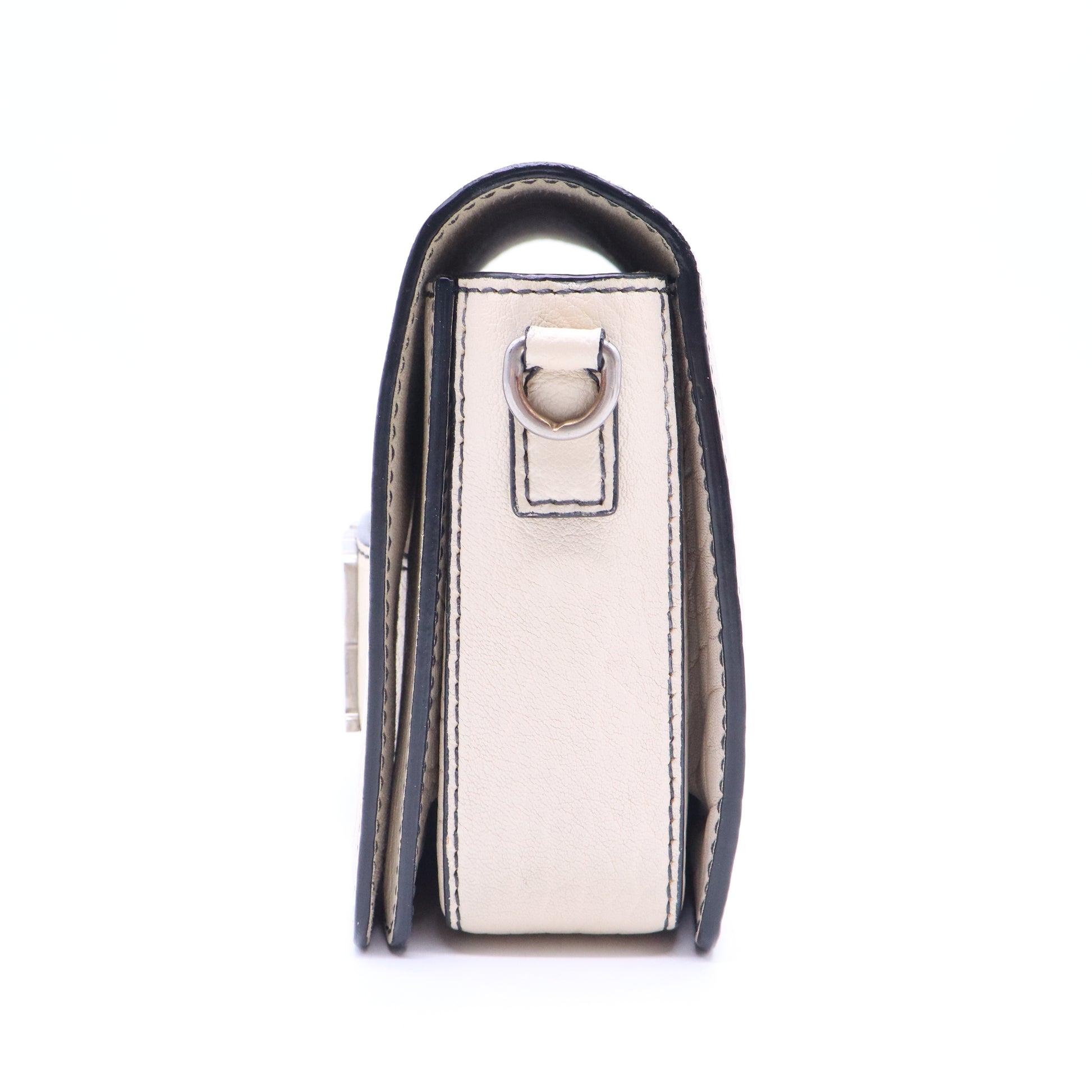 Dio(r)evolution Flap Bag B20782
