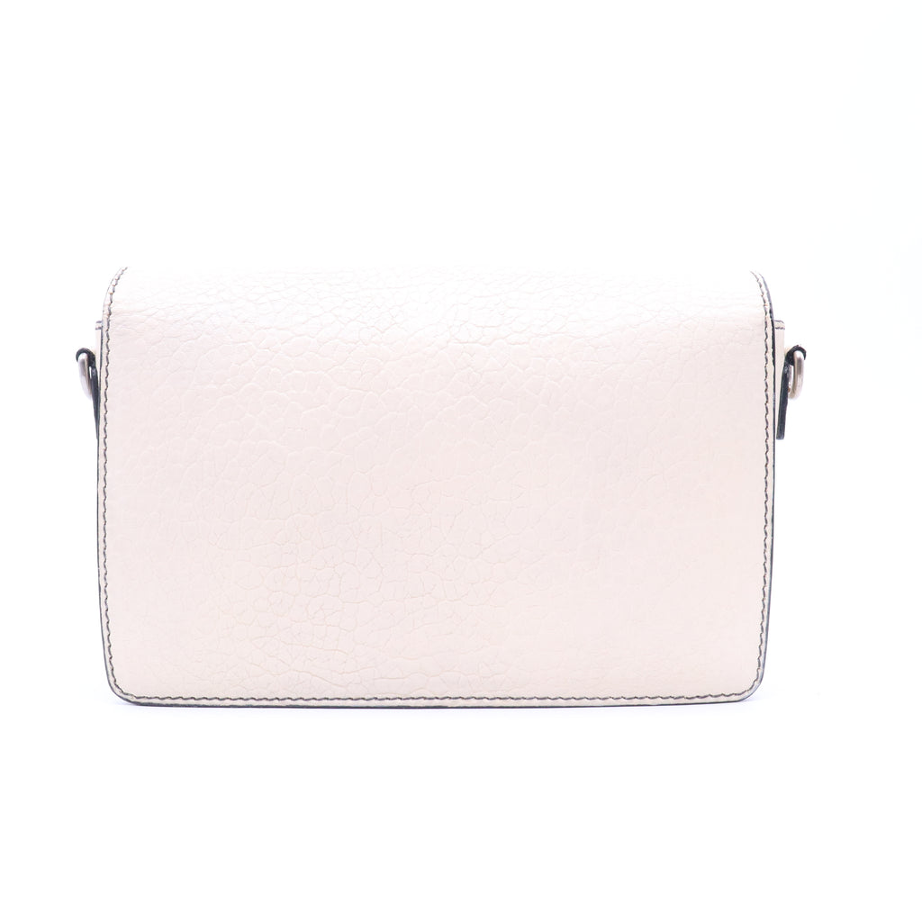 Dio(r)evolution Flap Bag B20782