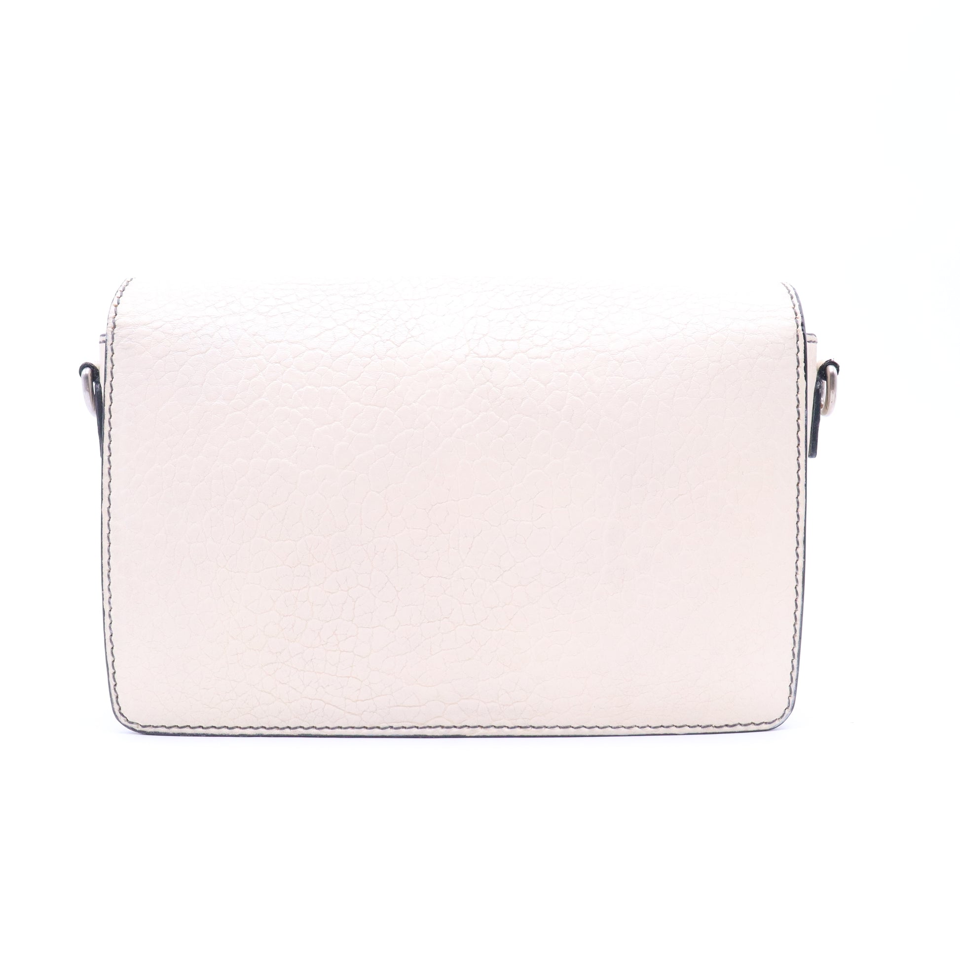 Dio(r)evolution Flap Bag B20782