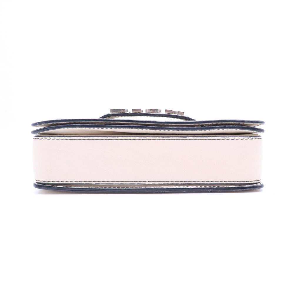 Dio(r)evolution Flap Bag B20782