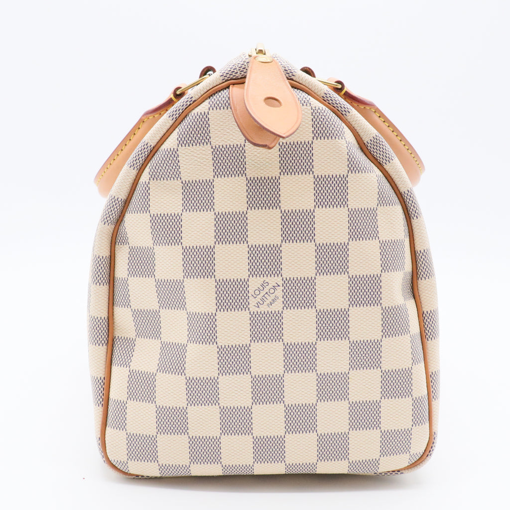 Speedy Handbag Damier 30