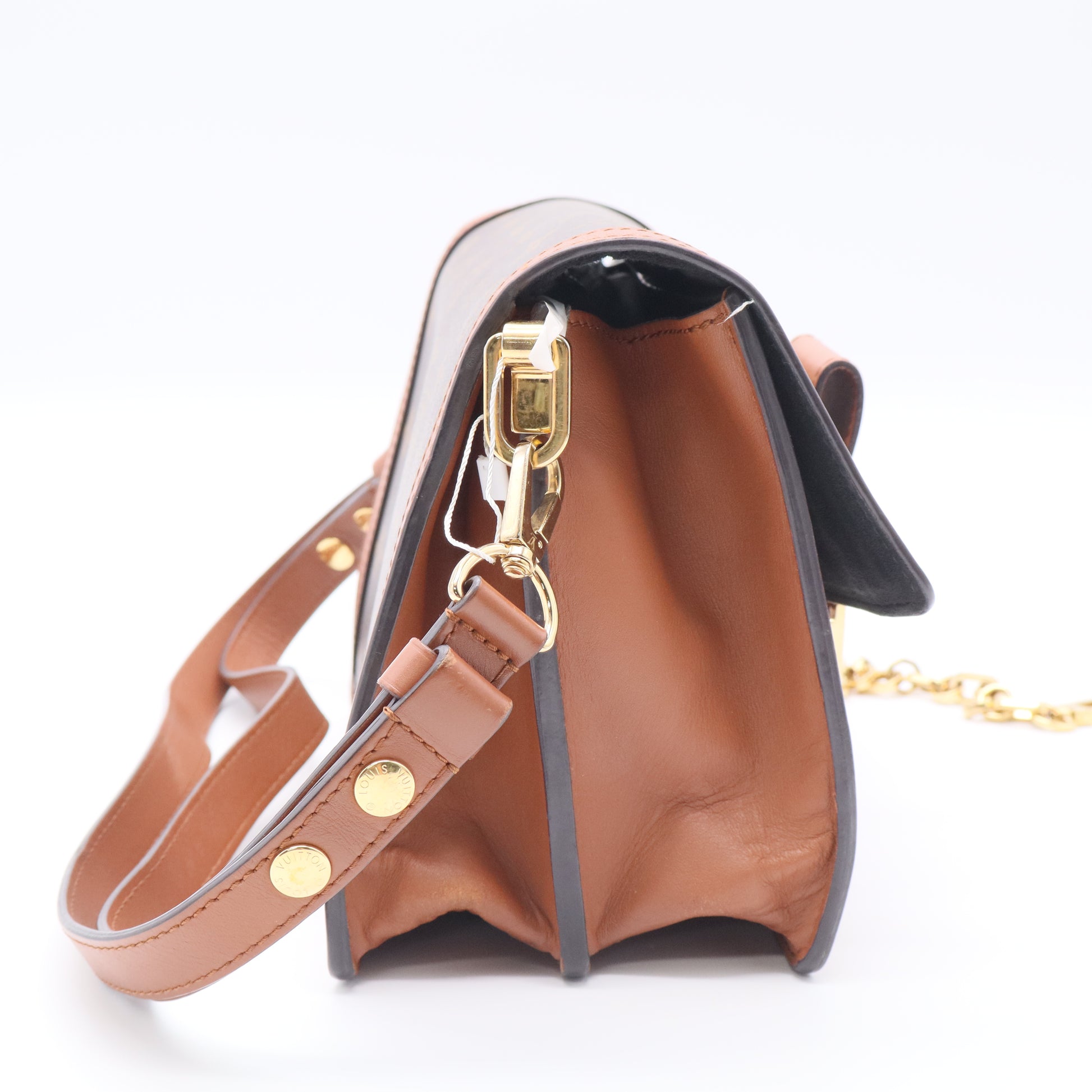 Reverse Monogram Dauphine MM twins